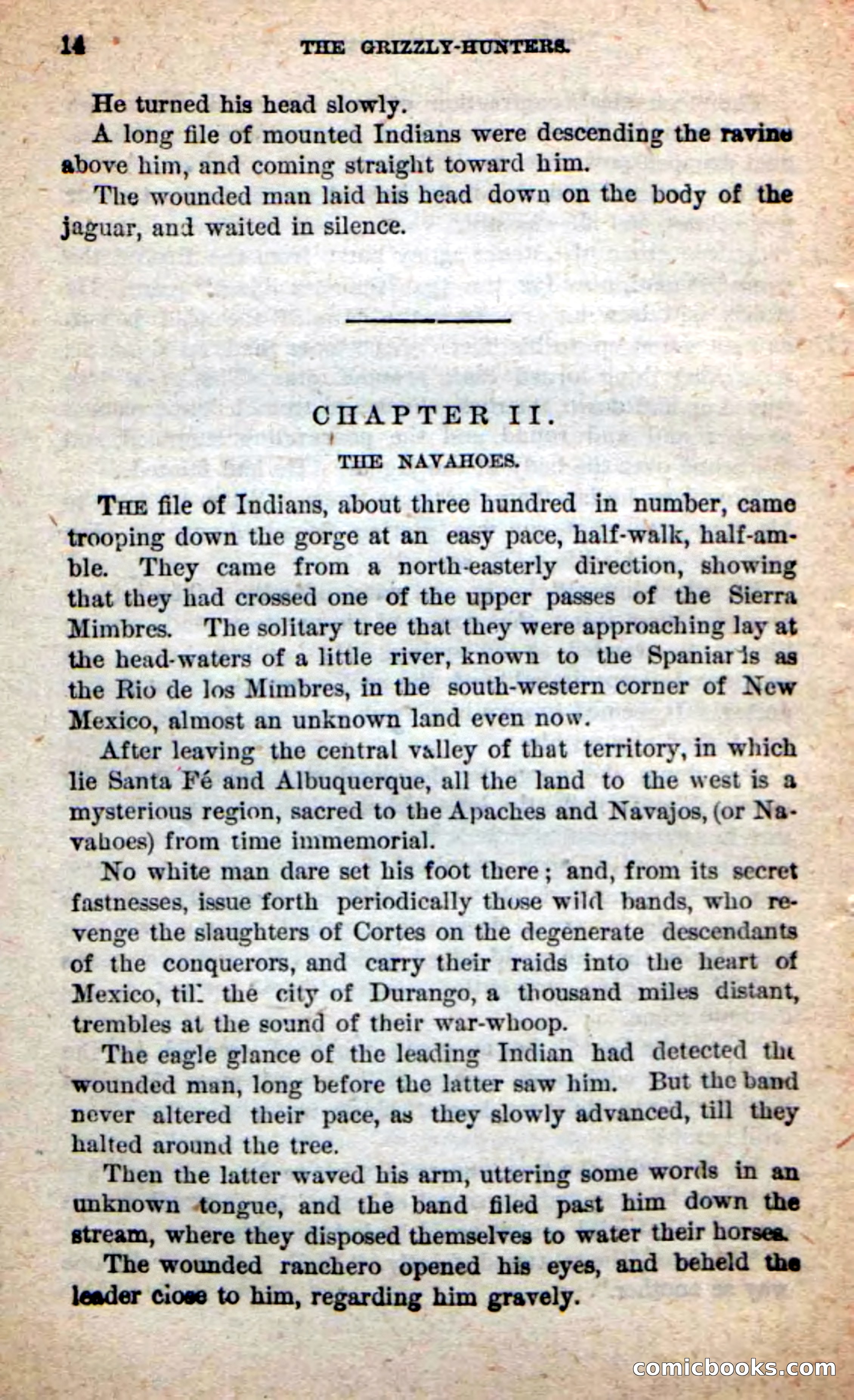 Beadle's Dime Novels: The Grizzly-Hunters — page 10 of 100
