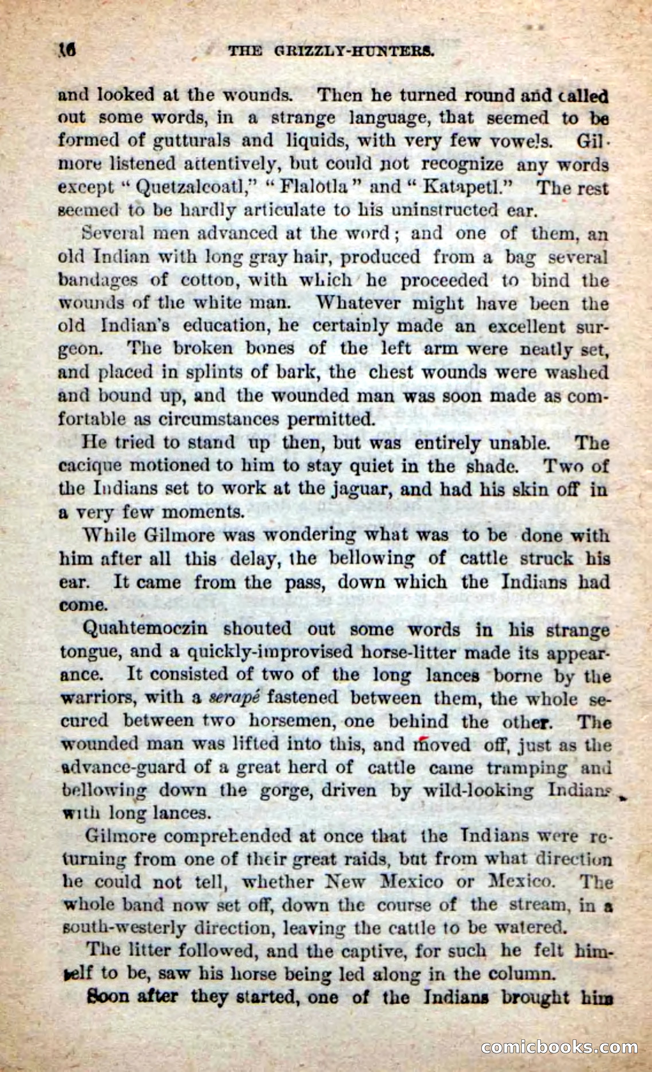 Beadle's Dime Novels: The Grizzly-Hunters — page 12 of 100