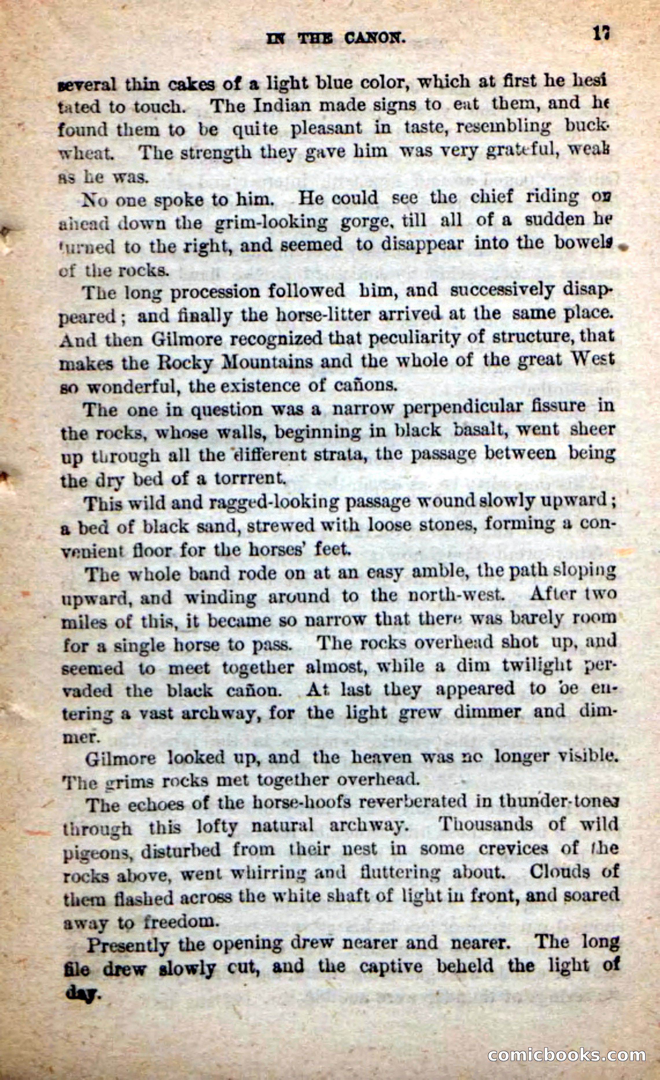 Beadle's Dime Novels: The Grizzly-Hunters — page 13 of 100