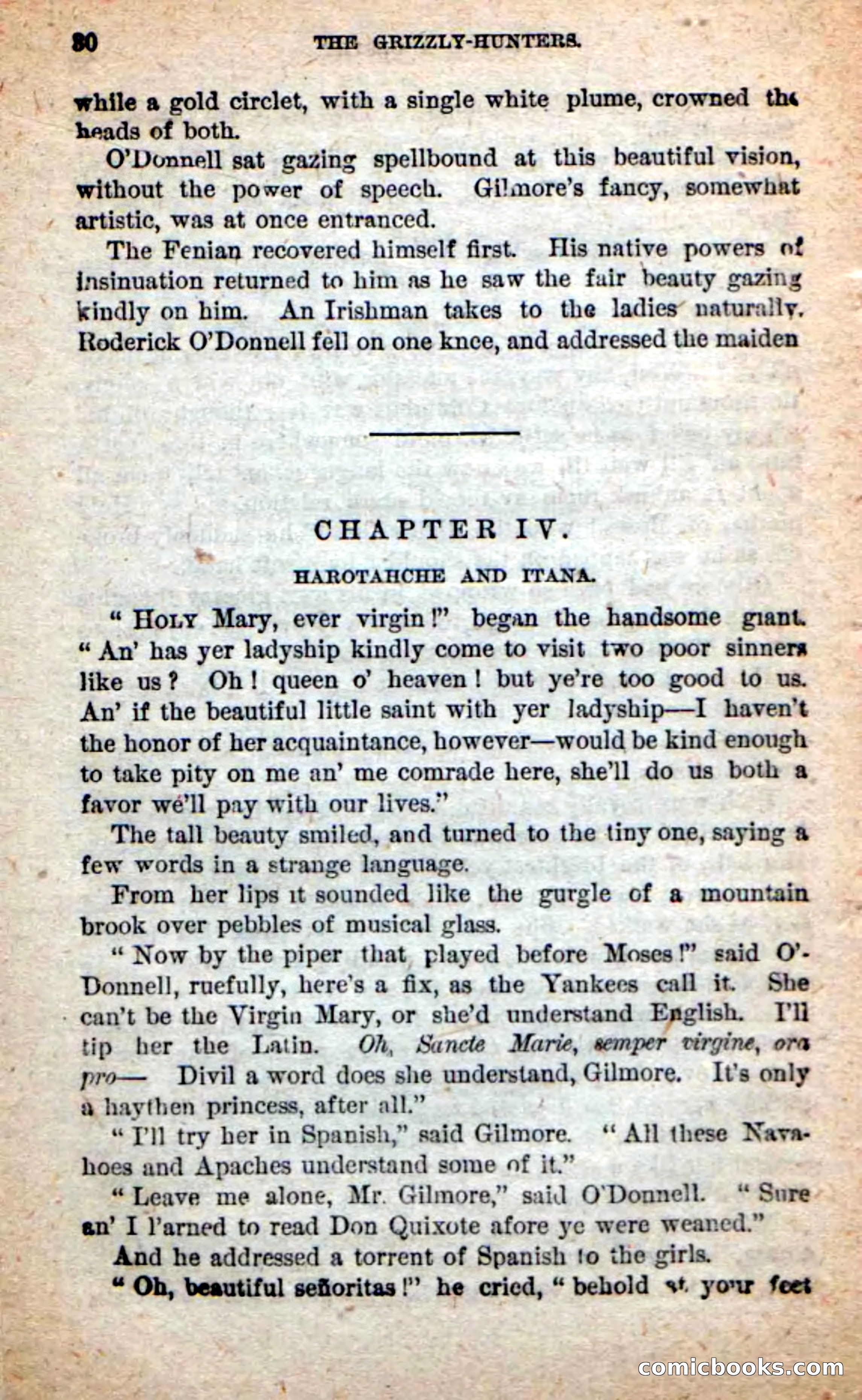 Beadle's Dime Novels: The Grizzly-Hunters — page 26 of 100