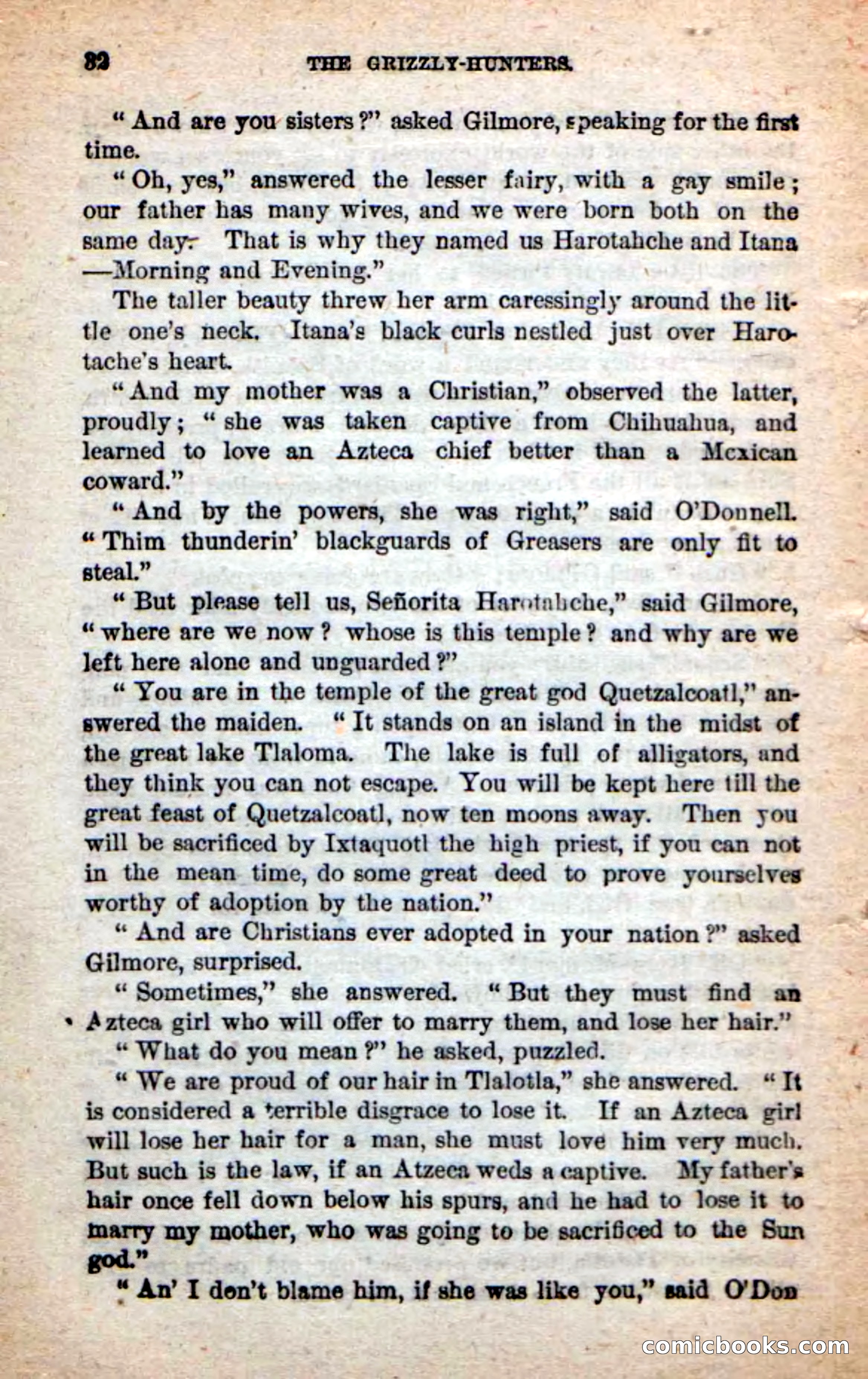 Beadle's Dime Novels: The Grizzly-Hunters — page 28 of 100