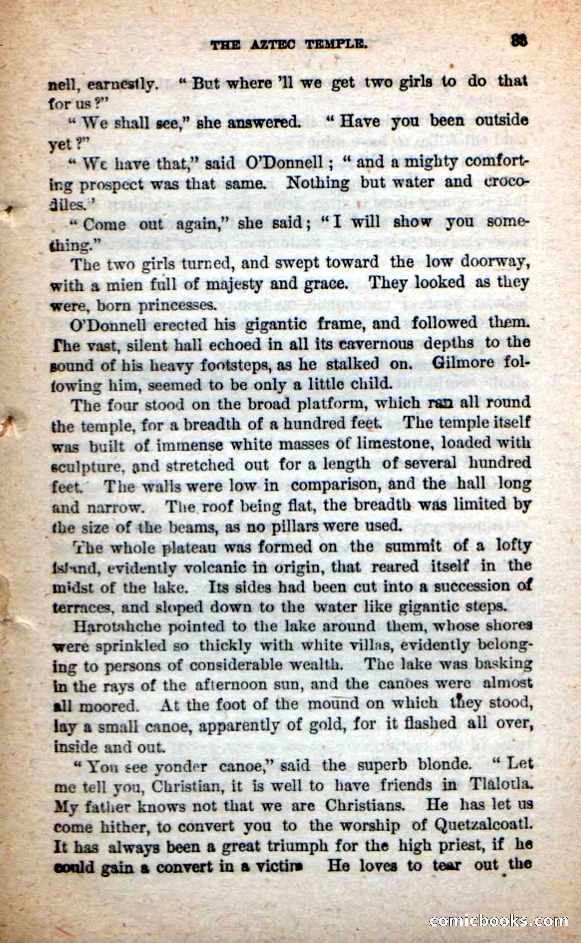 Beadle's Dime Novels: The Grizzly-Hunters — page 29 of 100