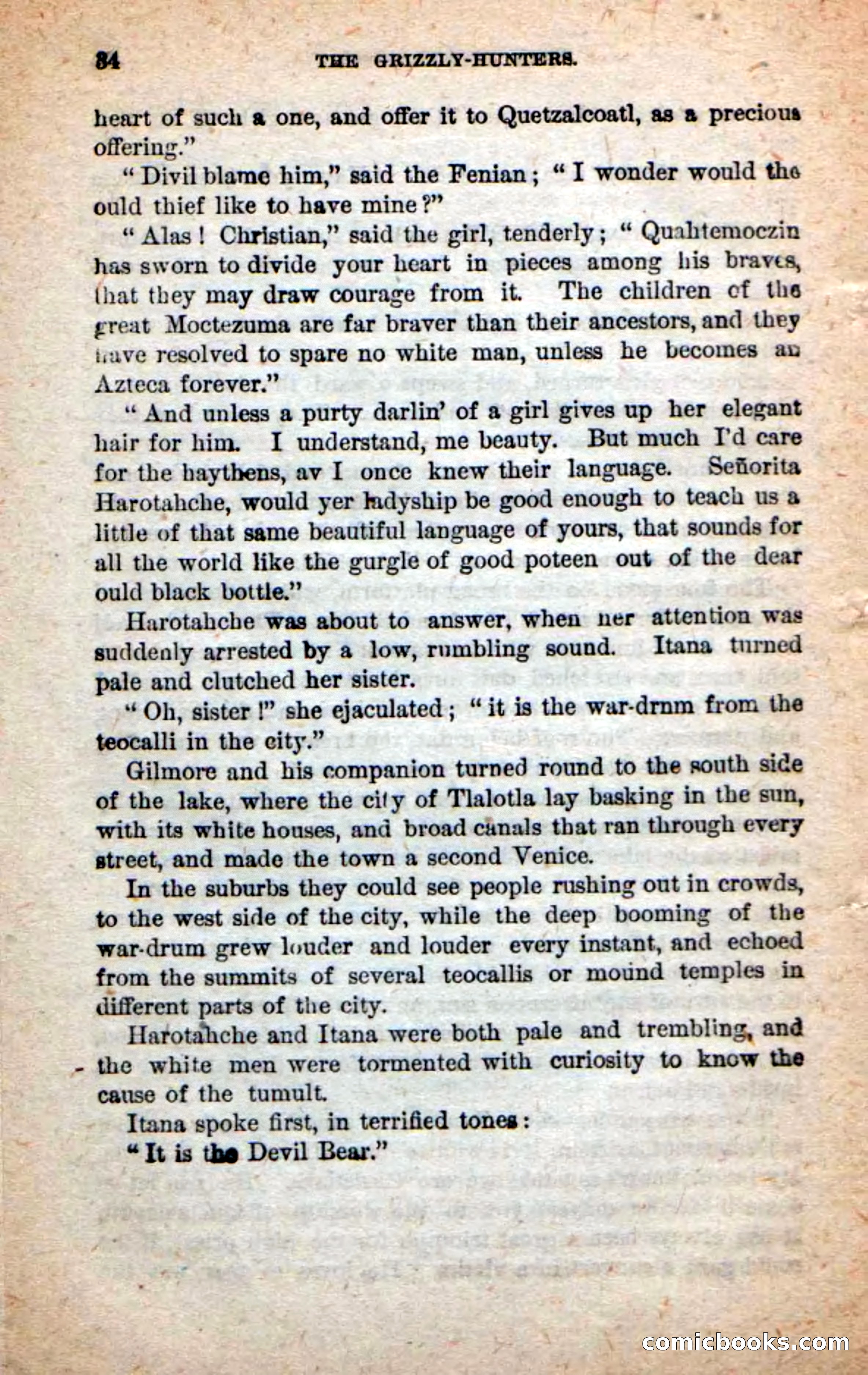 Beadle's Dime Novels: The Grizzly-Hunters — page 30 of 100