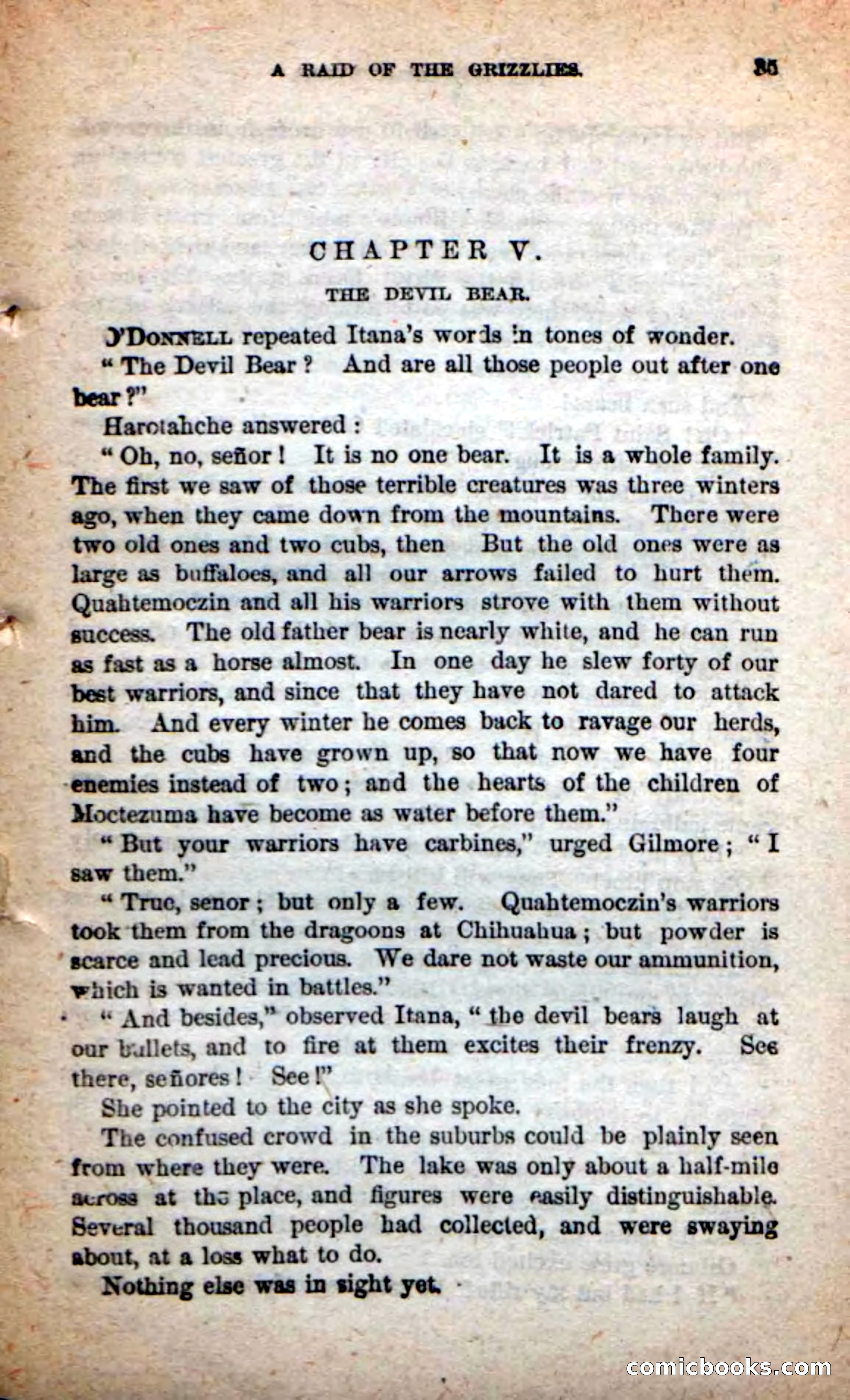 Beadle's Dime Novels: The Grizzly-Hunters — page 31 of 100