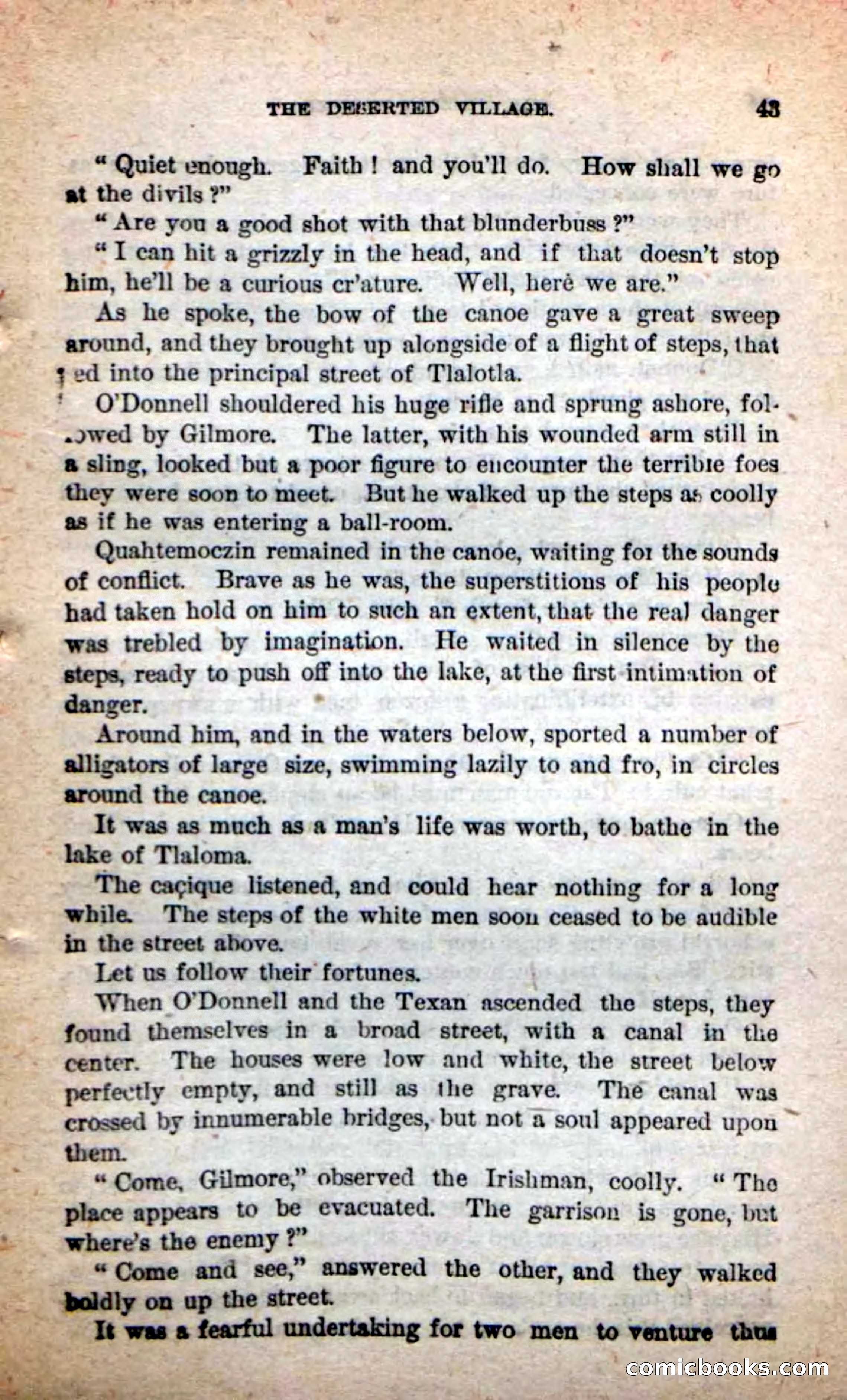 Beadle's Dime Novels: The Grizzly-Hunters — page 39 of 100