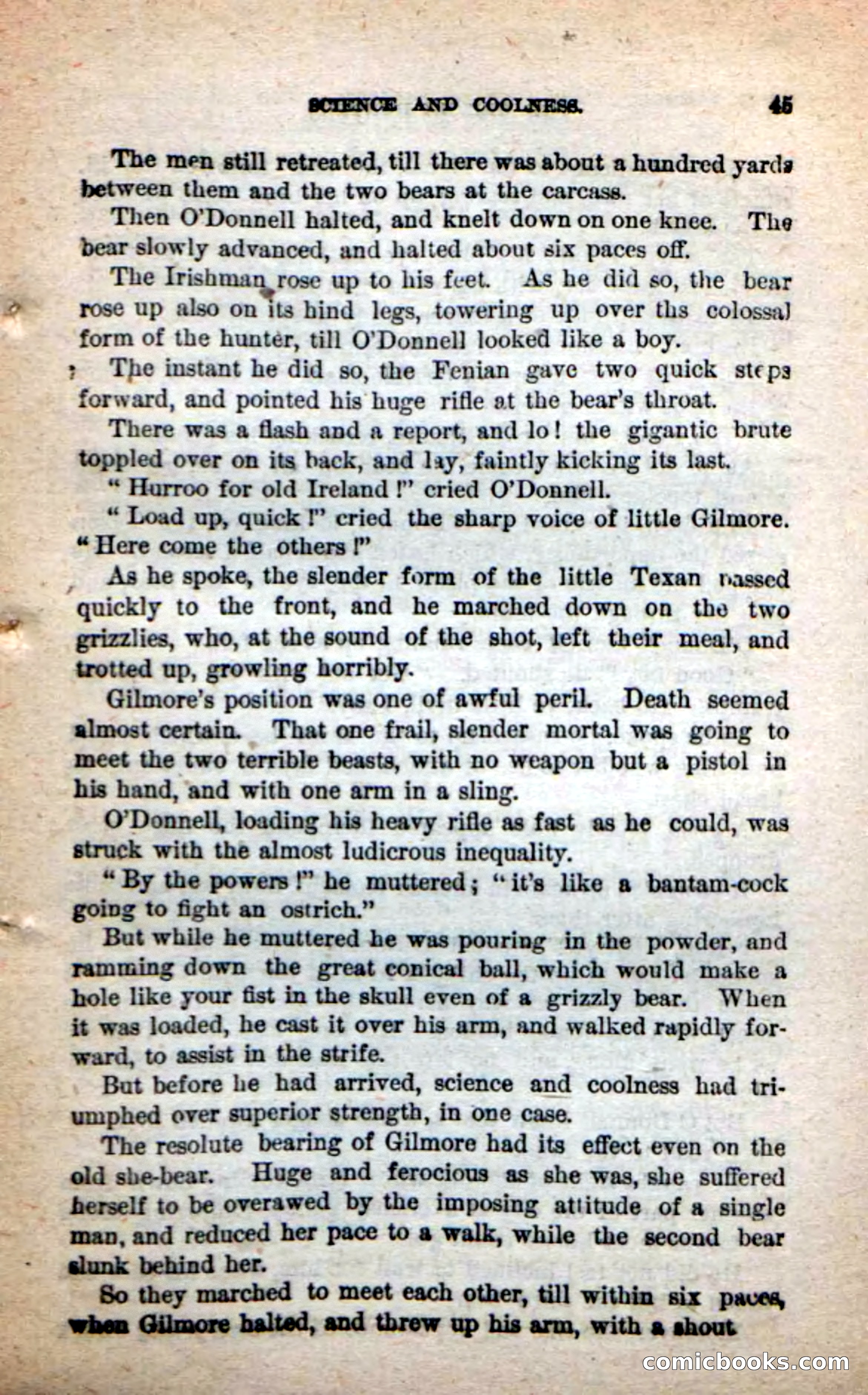 Beadle's Dime Novels: The Grizzly-Hunters — page 41 of 100