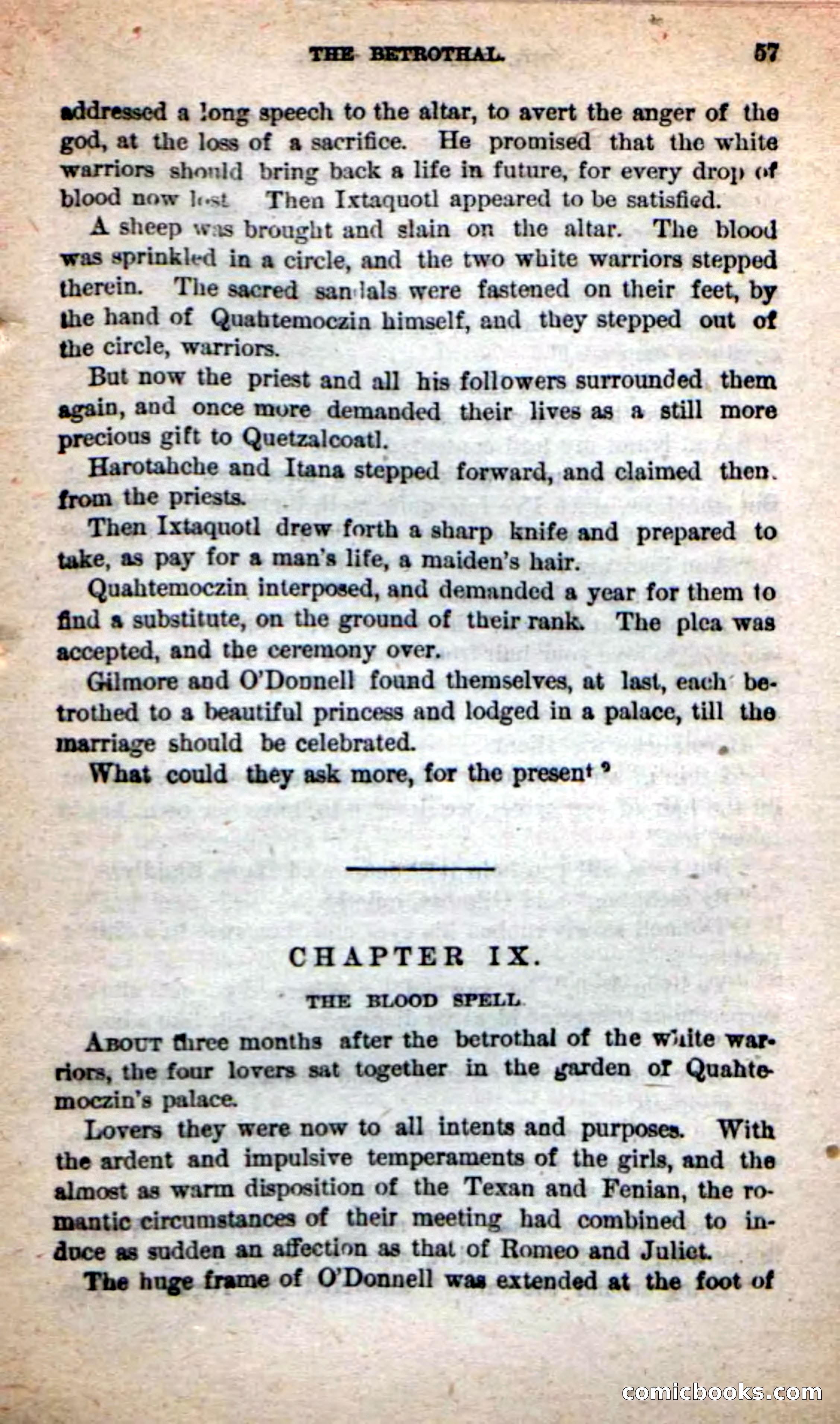Beadle's Dime Novels: The Grizzly-Hunters — page 53 of 100