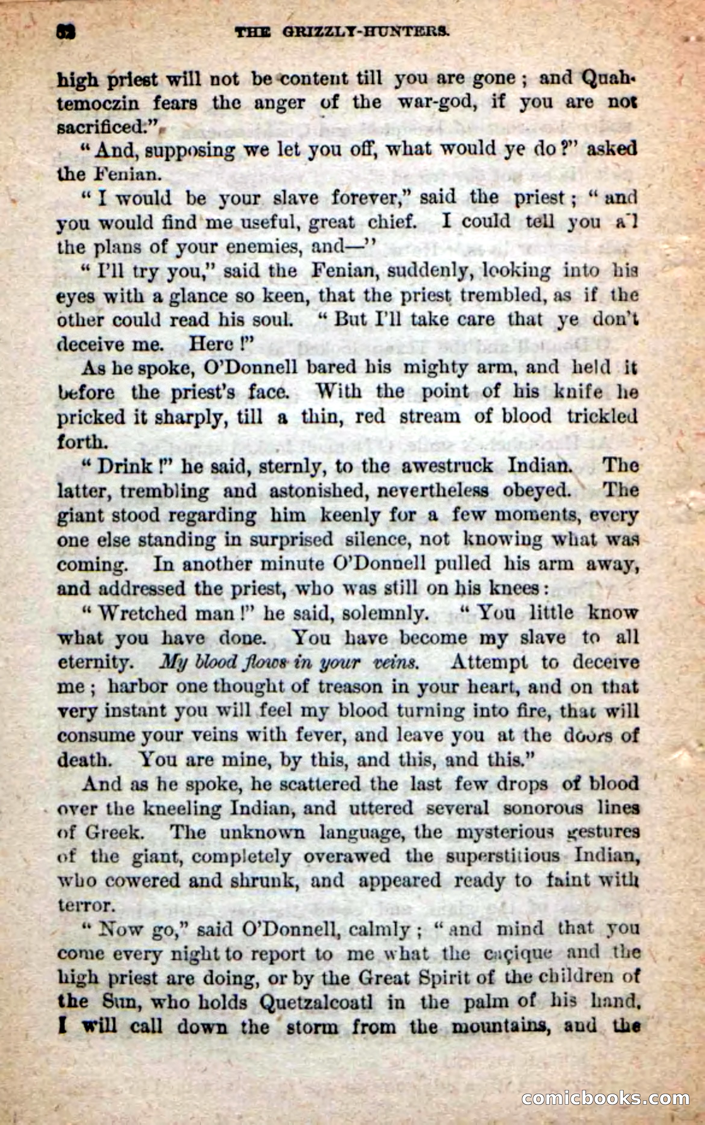 Beadle's Dime Novels: The Grizzly-Hunters — page 58 of 100