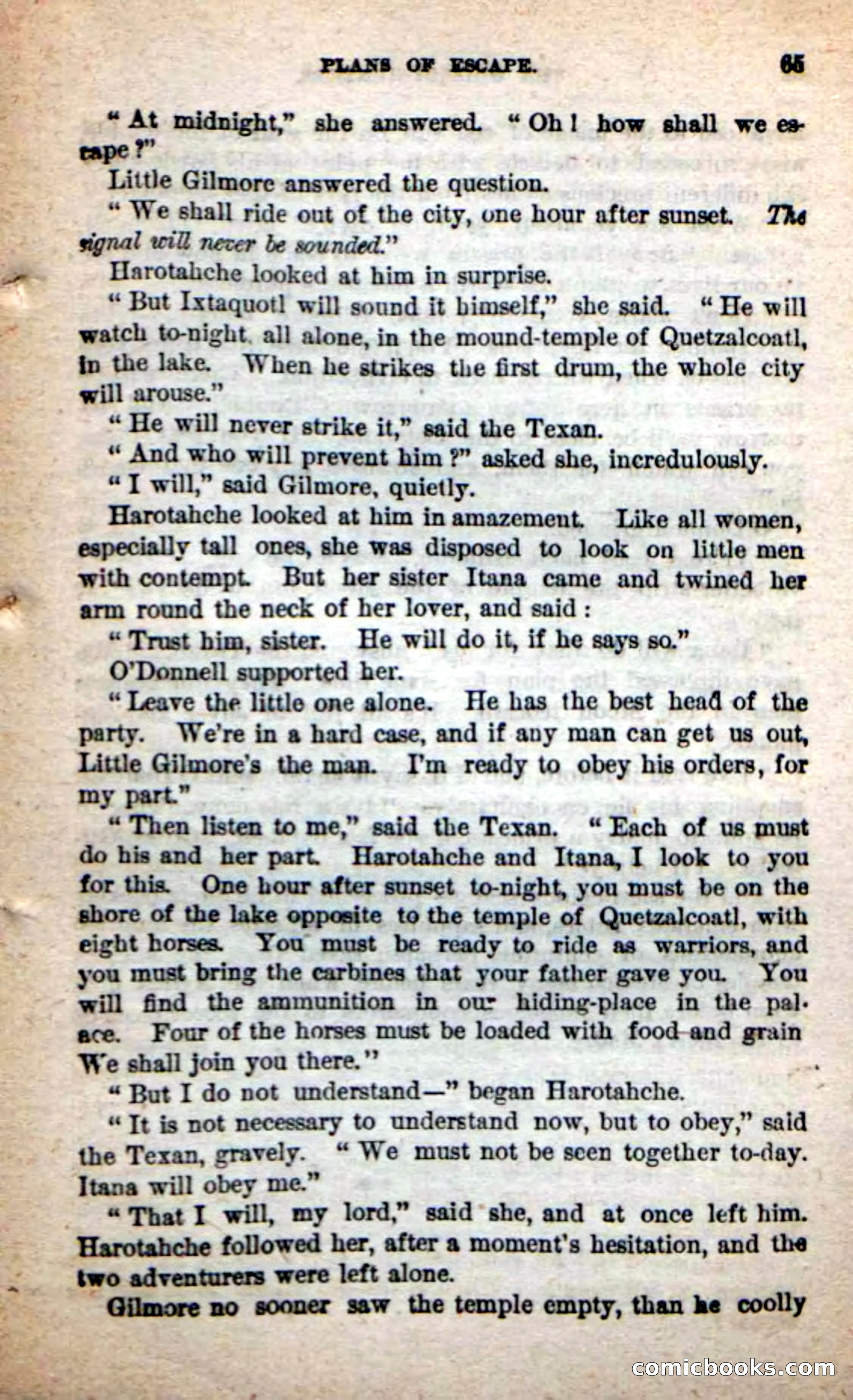Beadle's Dime Novels: The Grizzly-Hunters — page 61 of 100