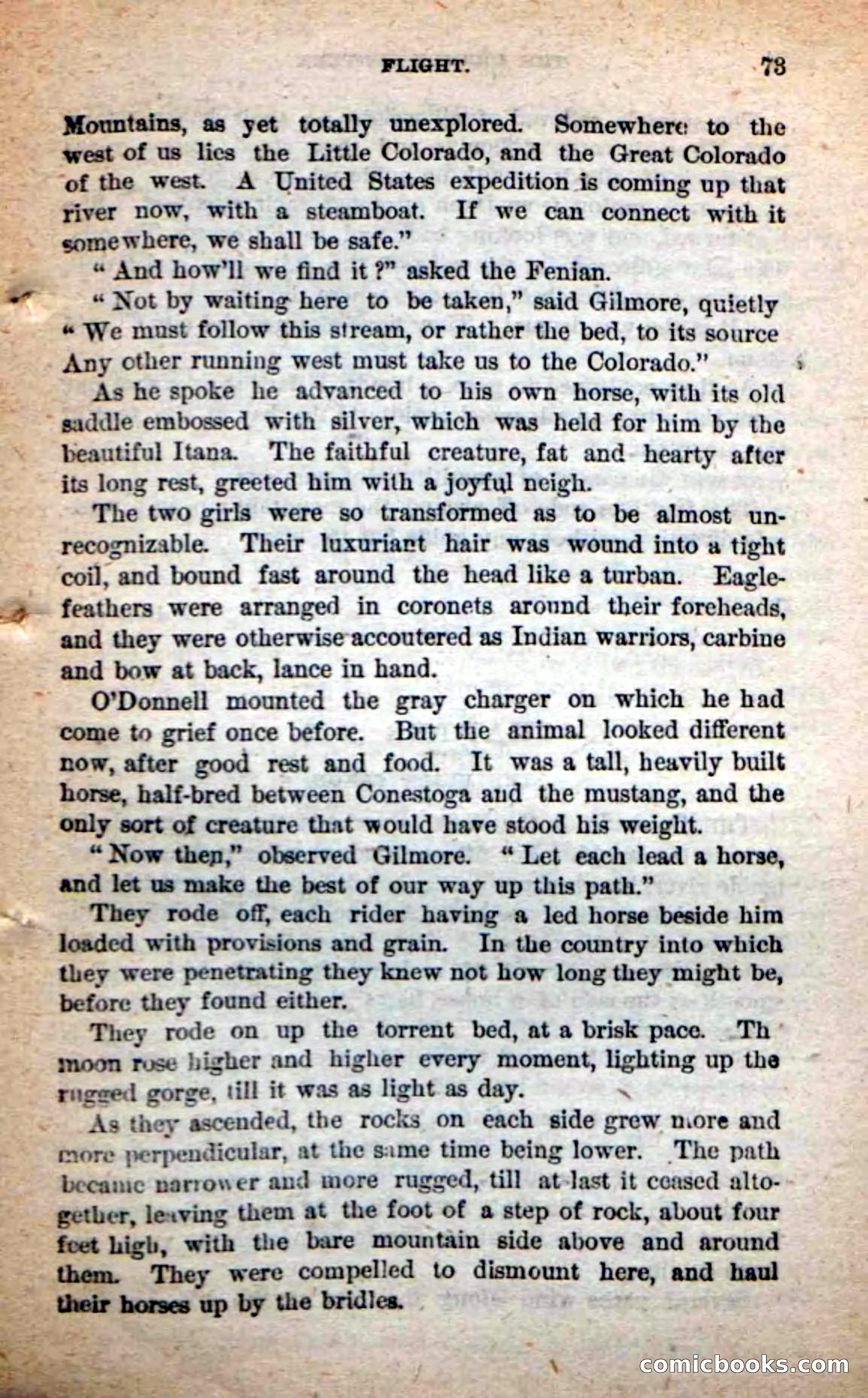 Beadle's Dime Novels: The Grizzly-Hunters — page 69 of 100