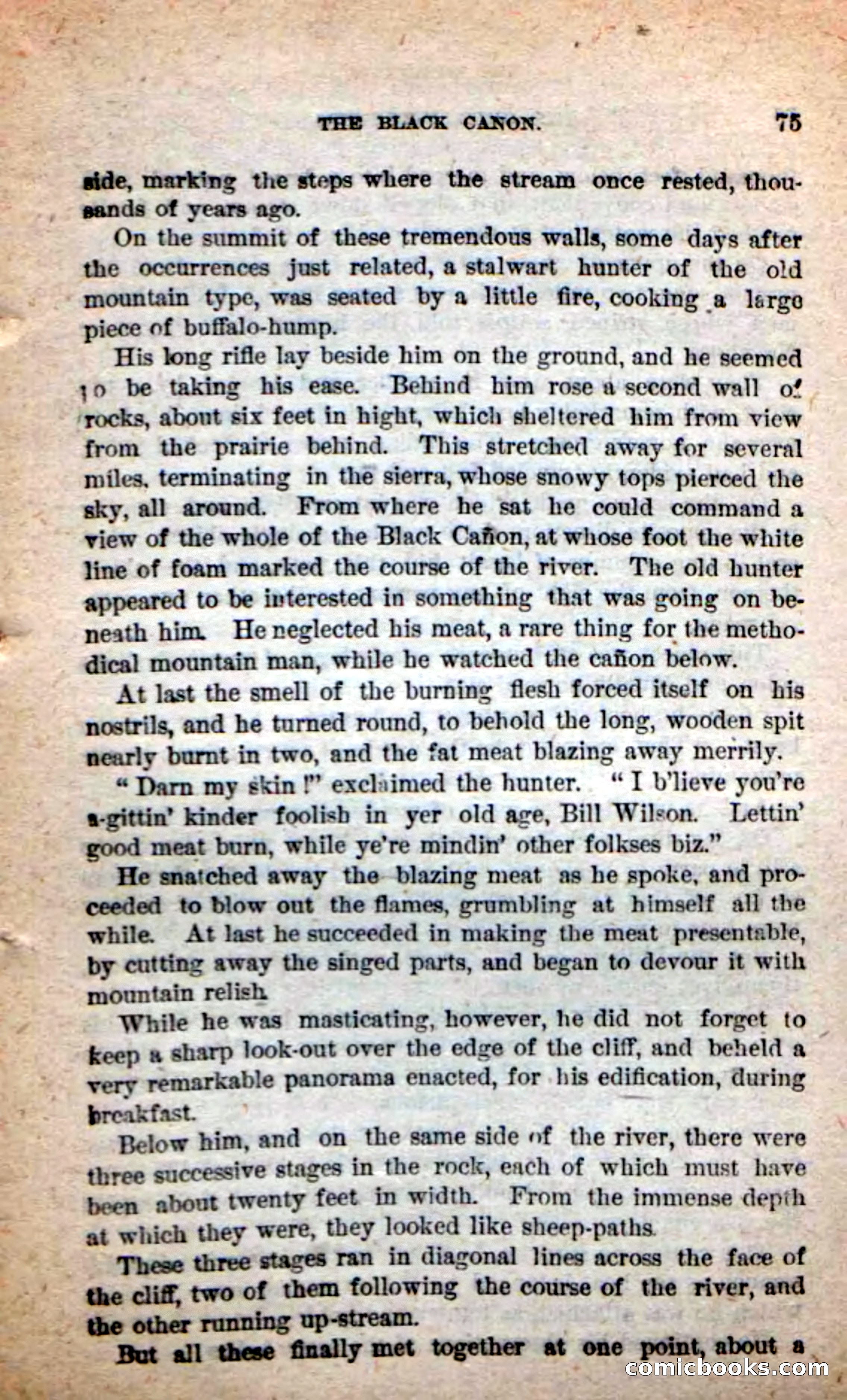 Beadle's Dime Novels: The Grizzly-Hunters — page 71 of 100