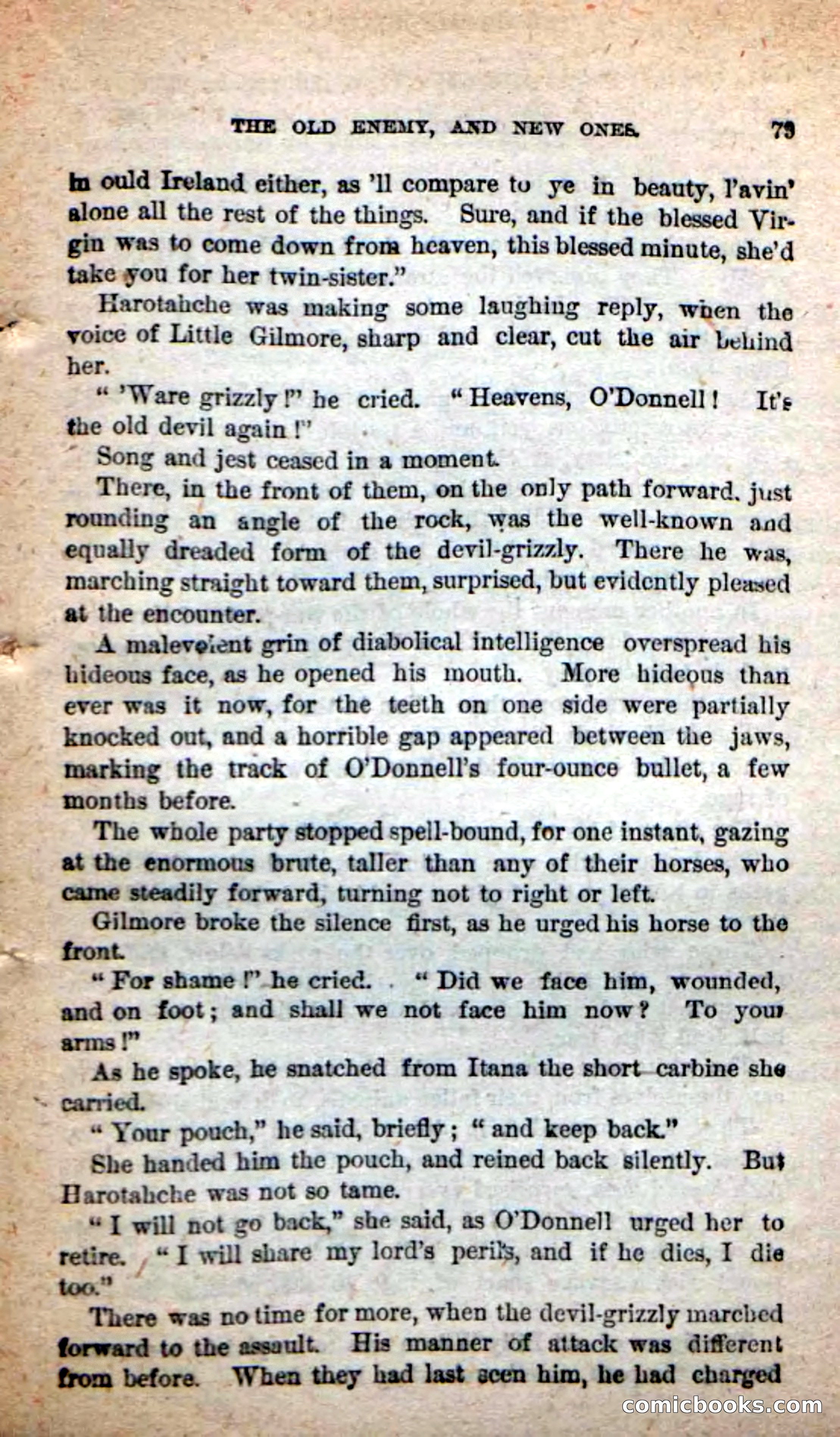 Beadle's Dime Novels: The Grizzly-Hunters — page 75 of 100