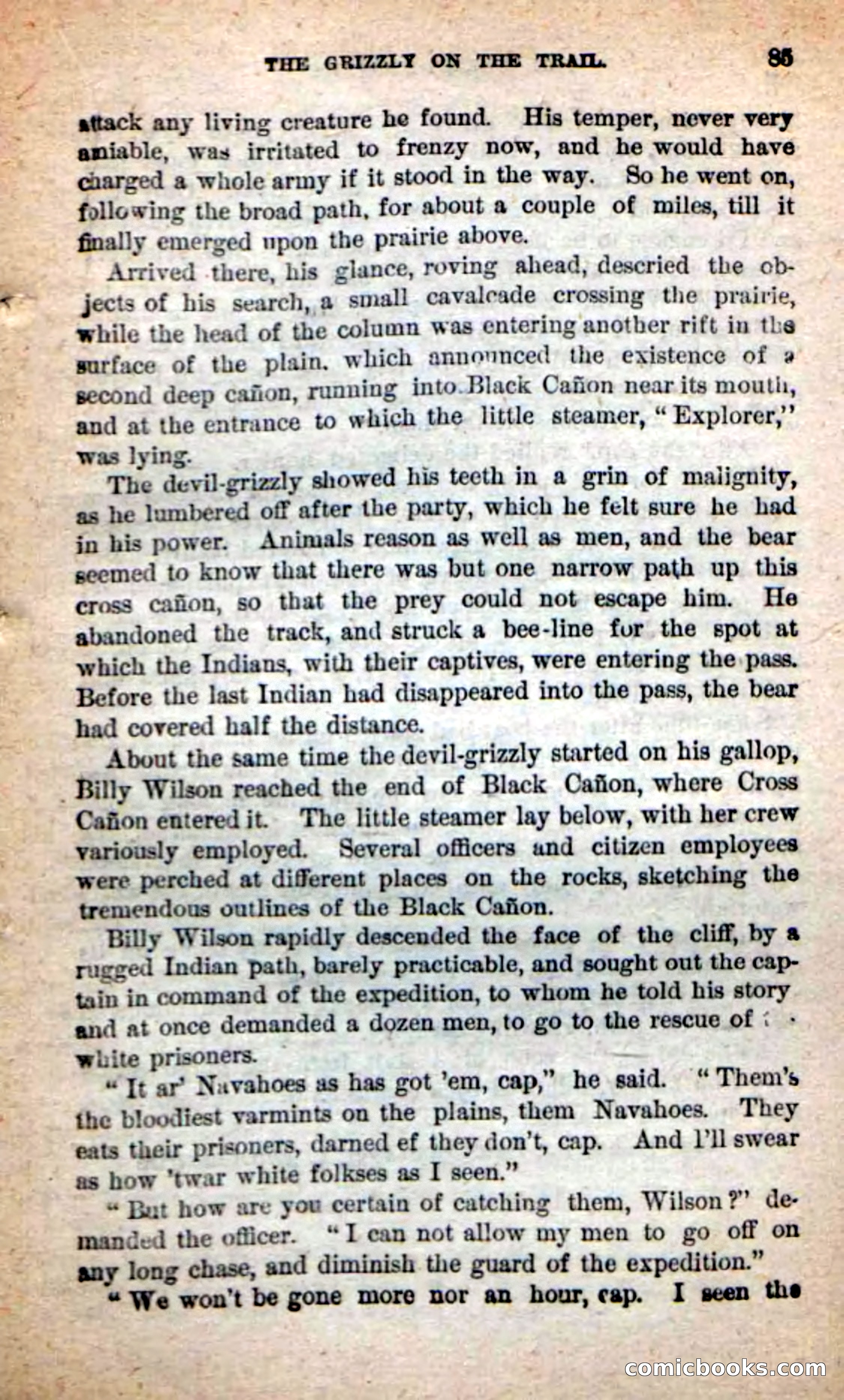 Beadle's Dime Novels: The Grizzly-Hunters — page 81 of 100