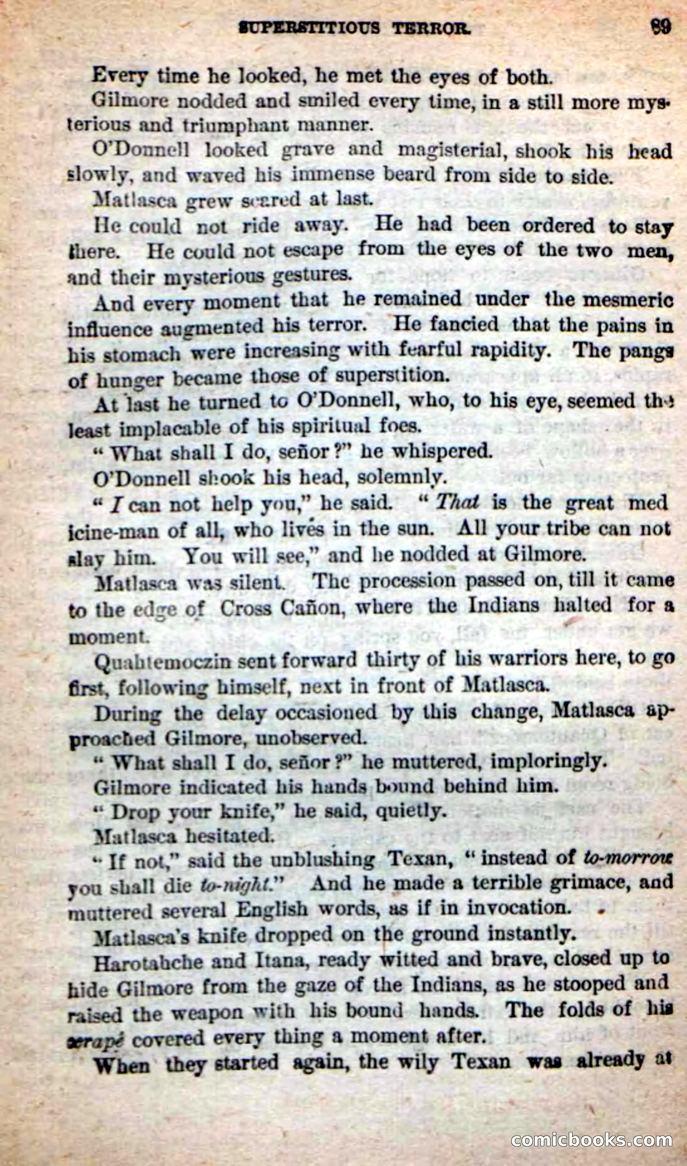 Beadle's Dime Novels: The Grizzly-Hunters — page 85 of 100