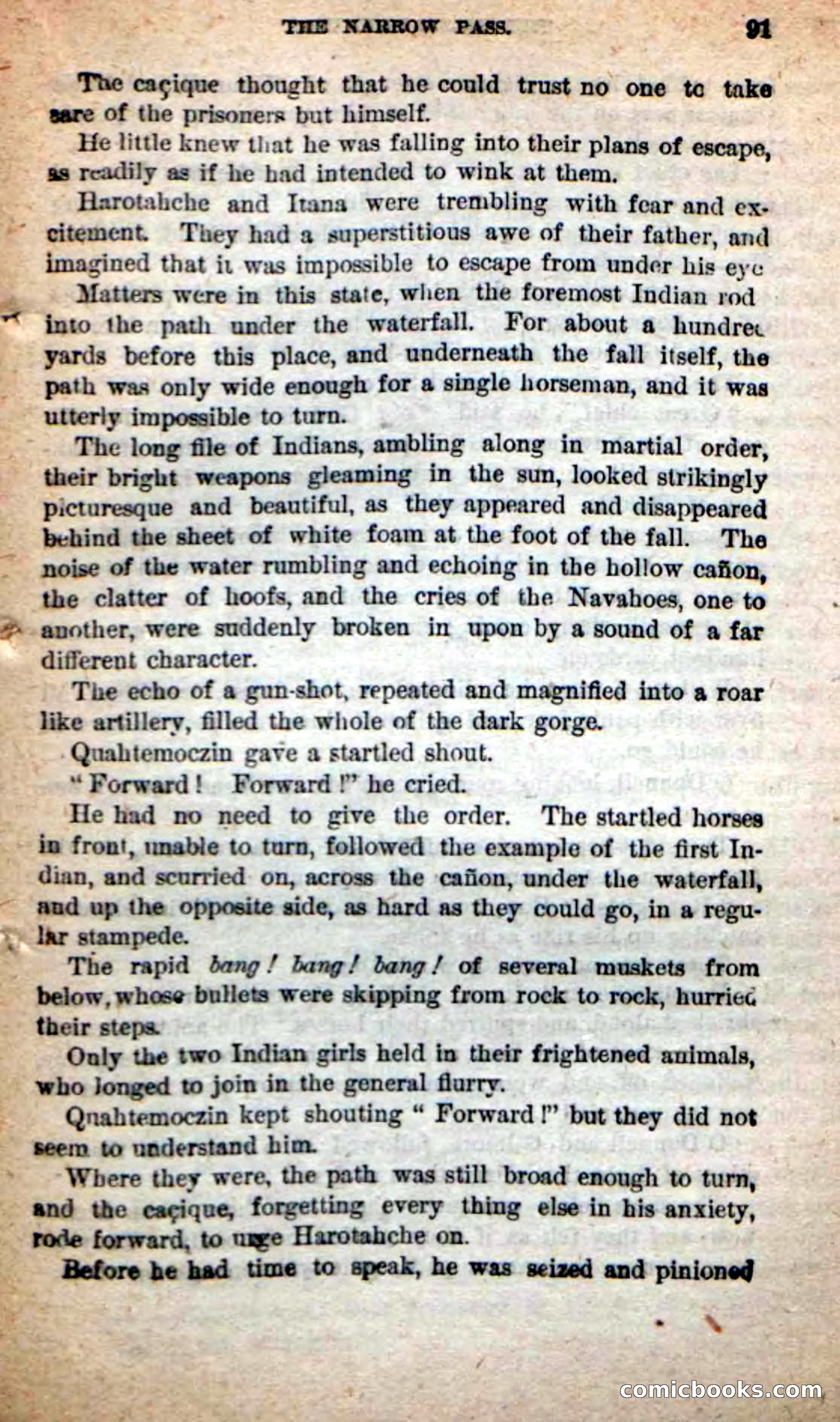 Beadle's Dime Novels: The Grizzly-Hunters — page 87 of 100