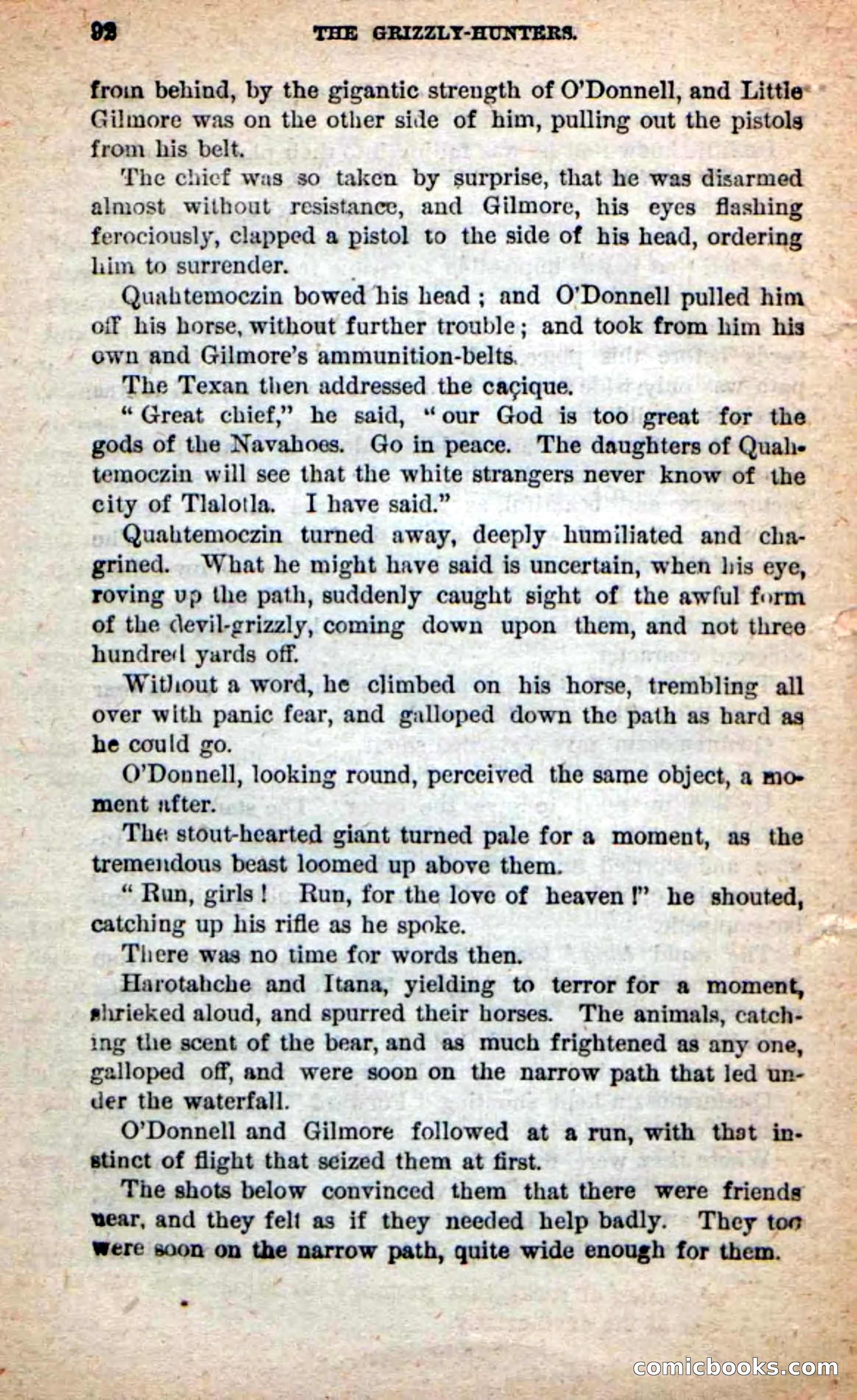 Beadle's Dime Novels: The Grizzly-Hunters — page 88 of 100