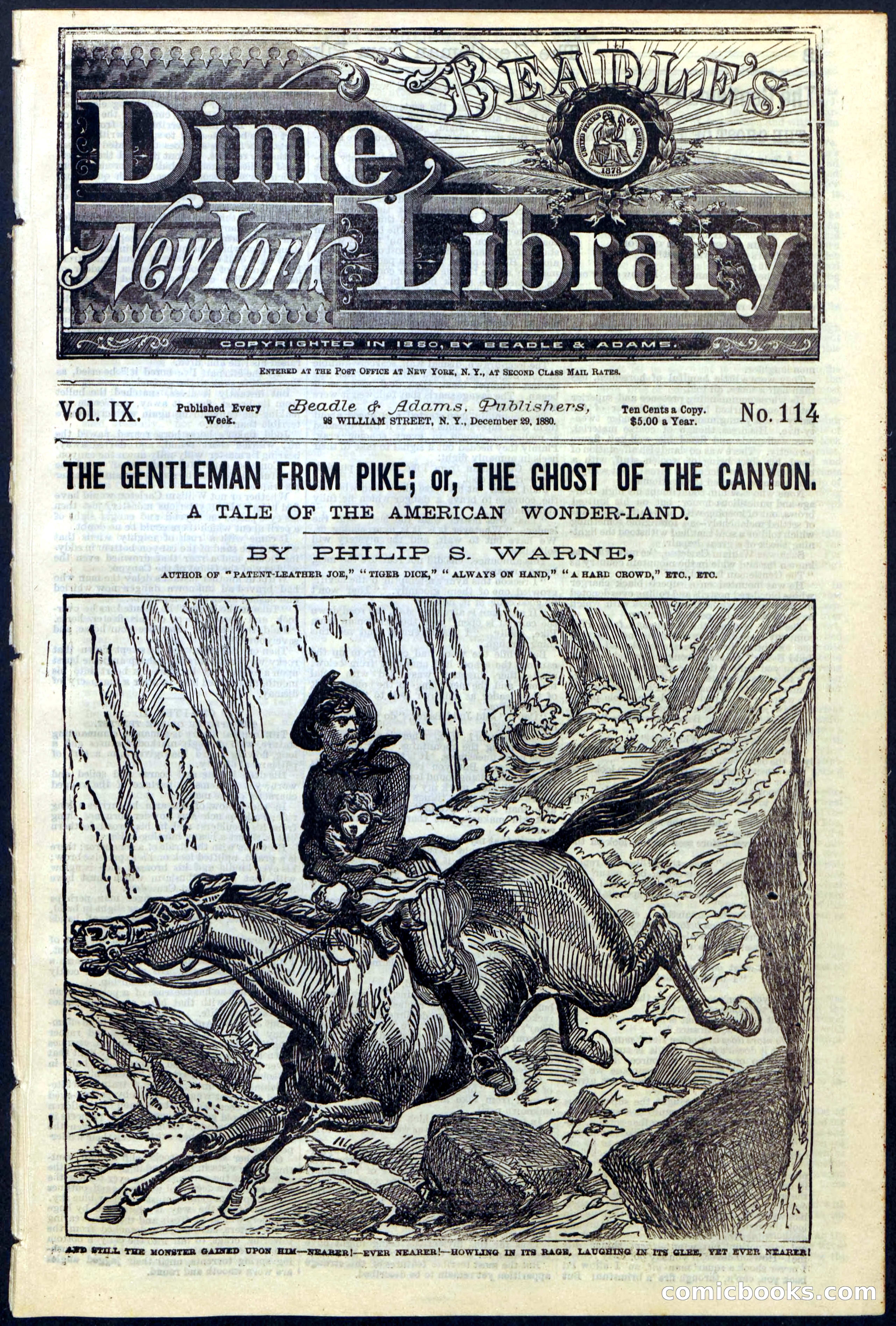 Beadle's New York Dime Library No. 114 — page 1 of 32