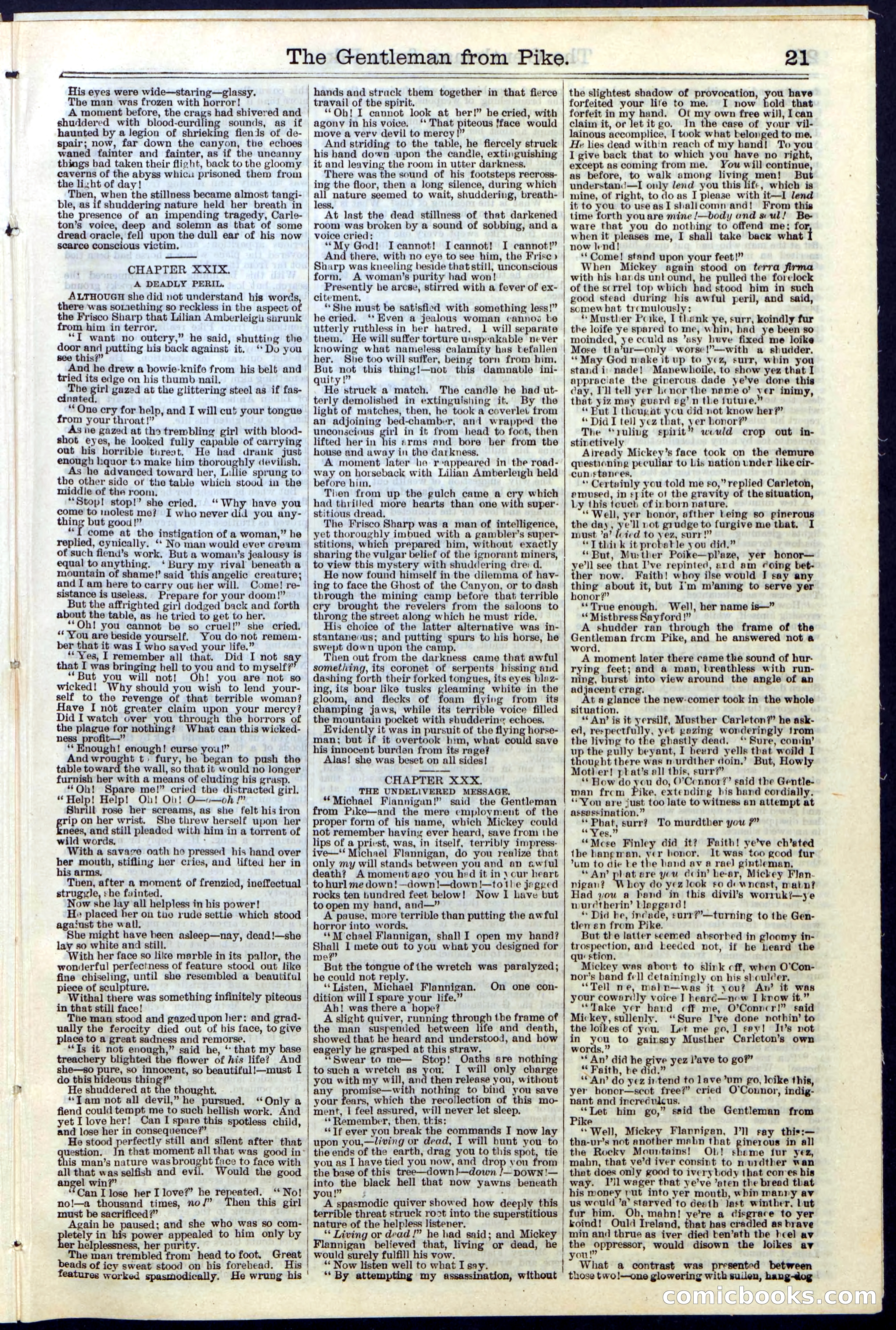 Beadle's New York Dime Library No. 114 — page 21 of 32
