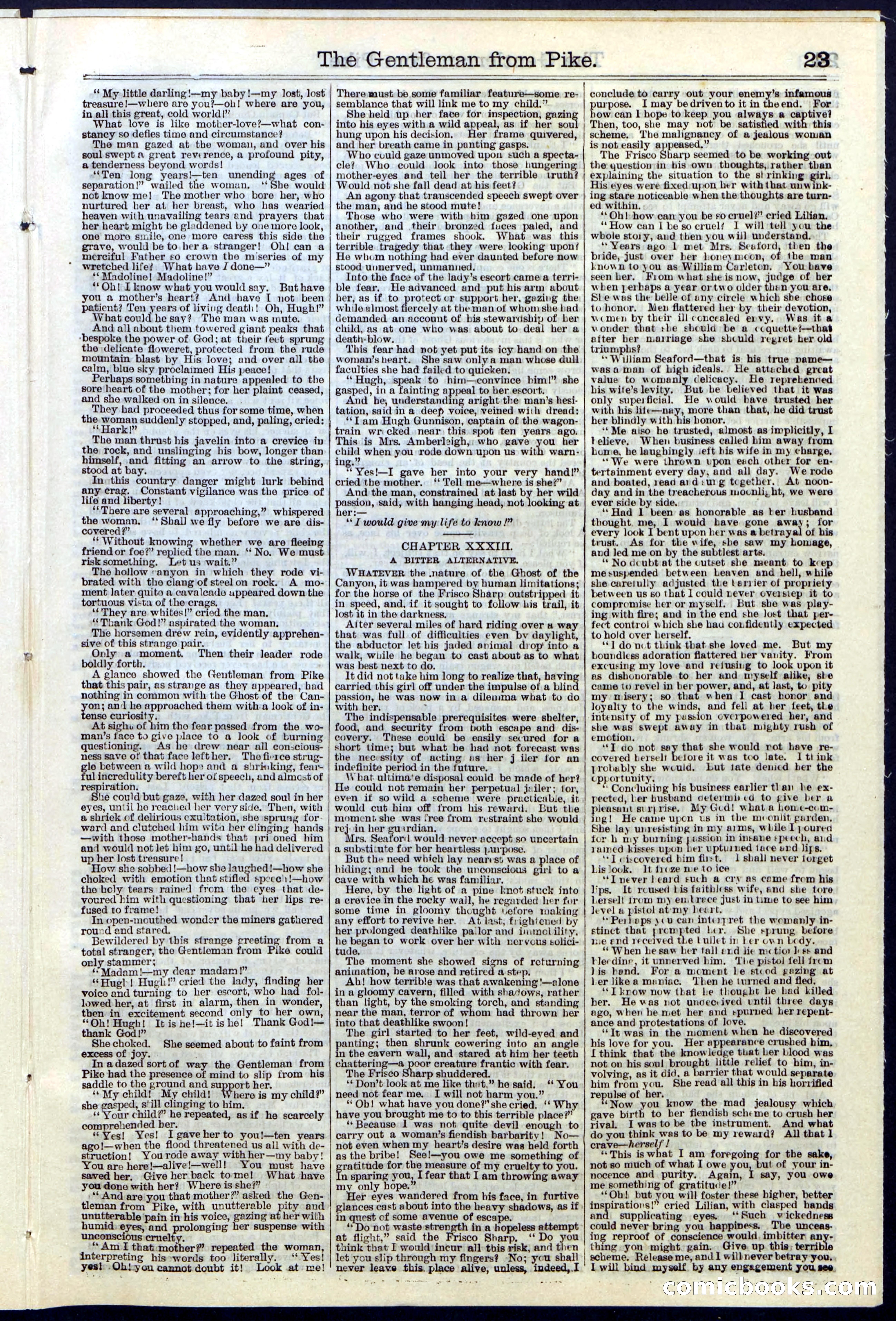 Beadle's New York Dime Library No. 114 — page 23 of 32