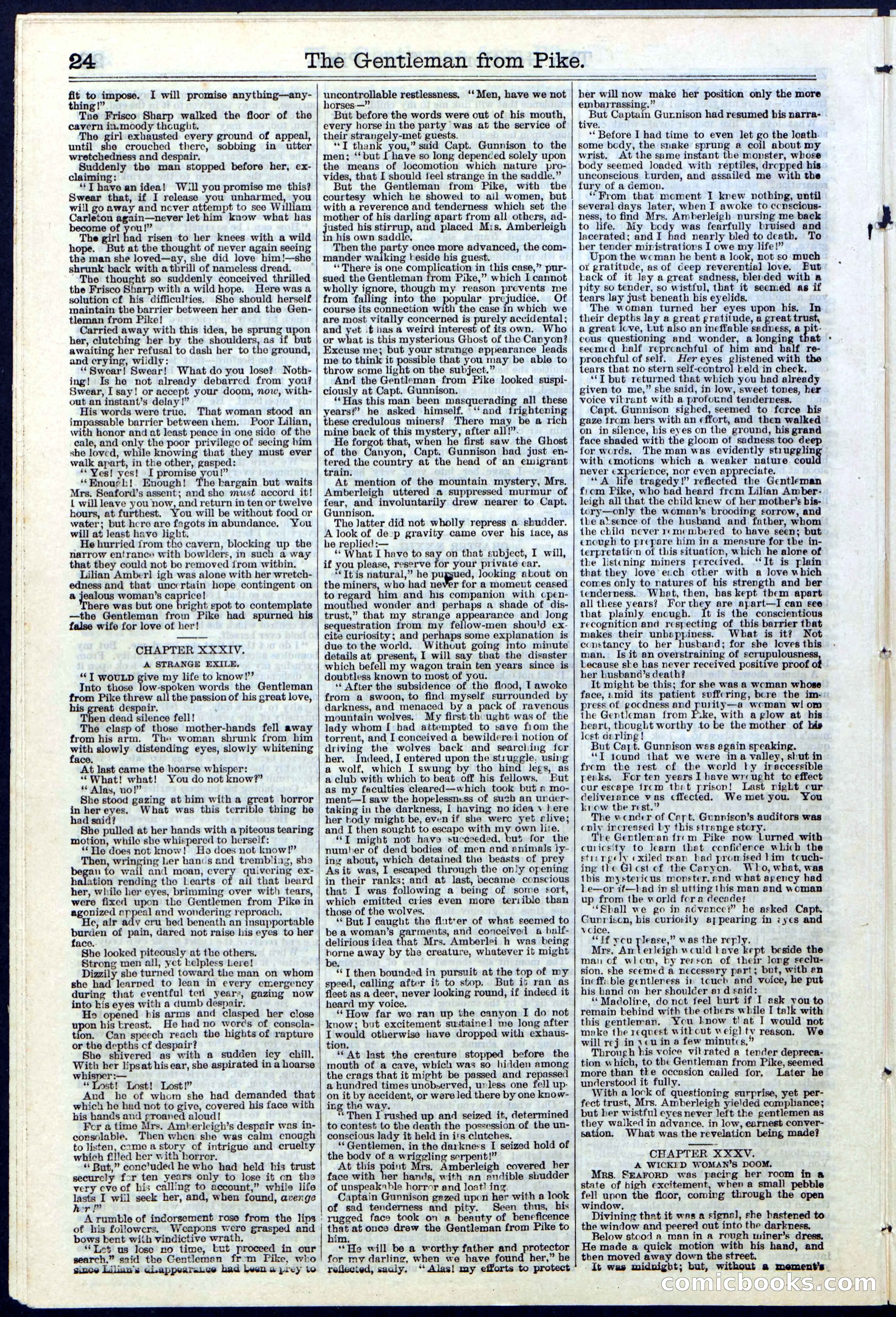 Beadle's New York Dime Library No. 114 — page 24 of 32