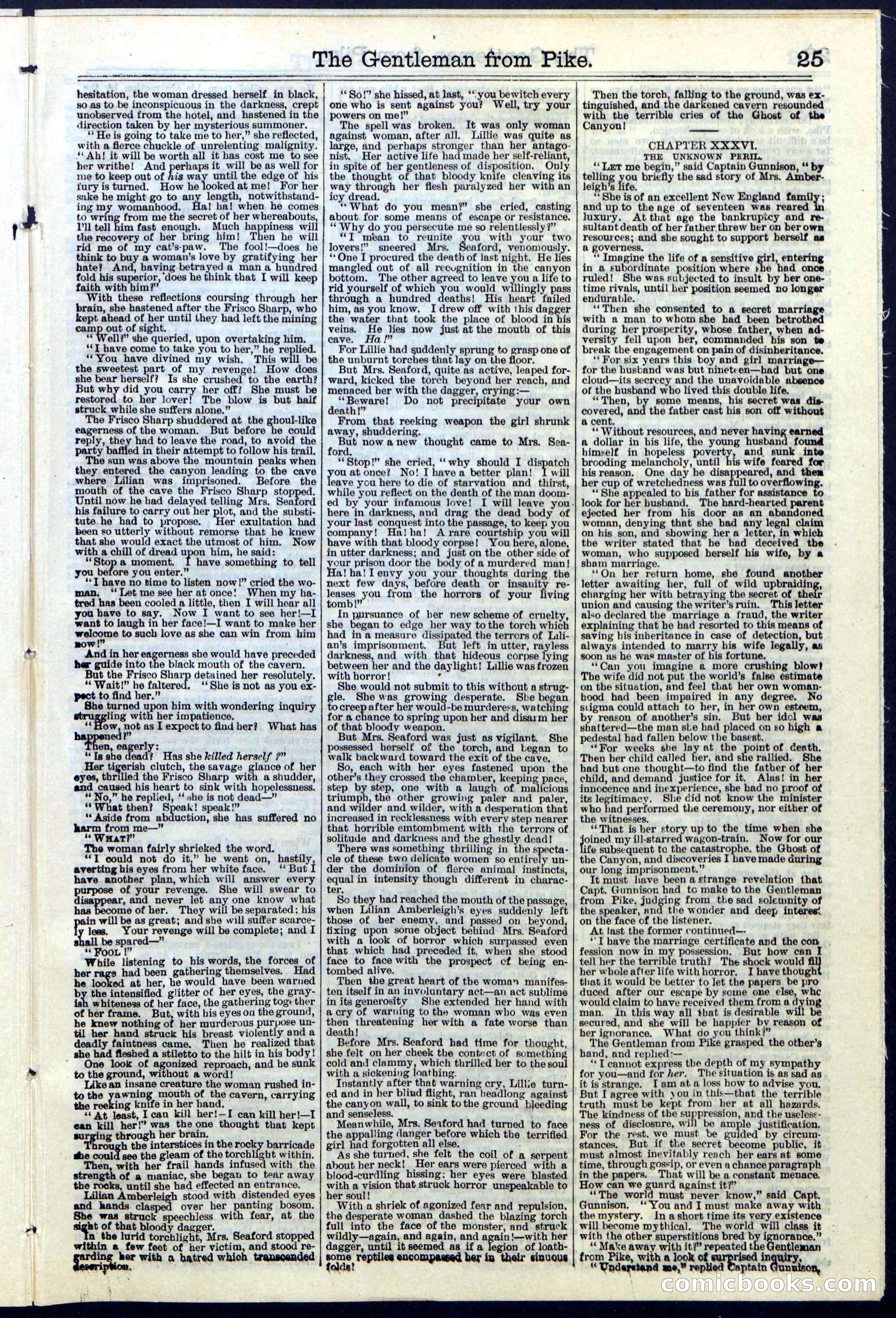 Beadle's New York Dime Library No. 114 — page 25 of 32