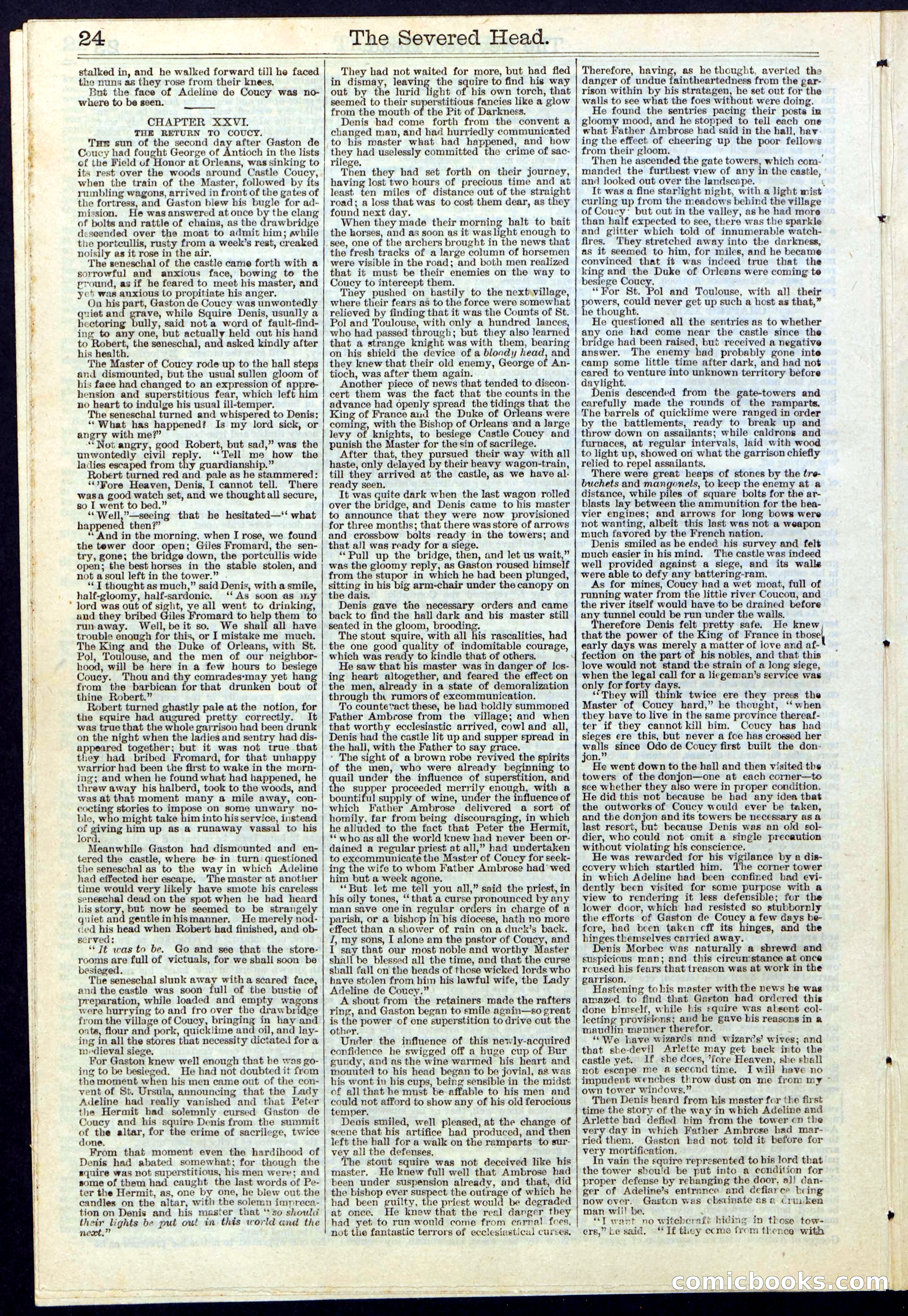 Beadle's New York Dime Library No. 115 — page 24 of 32
