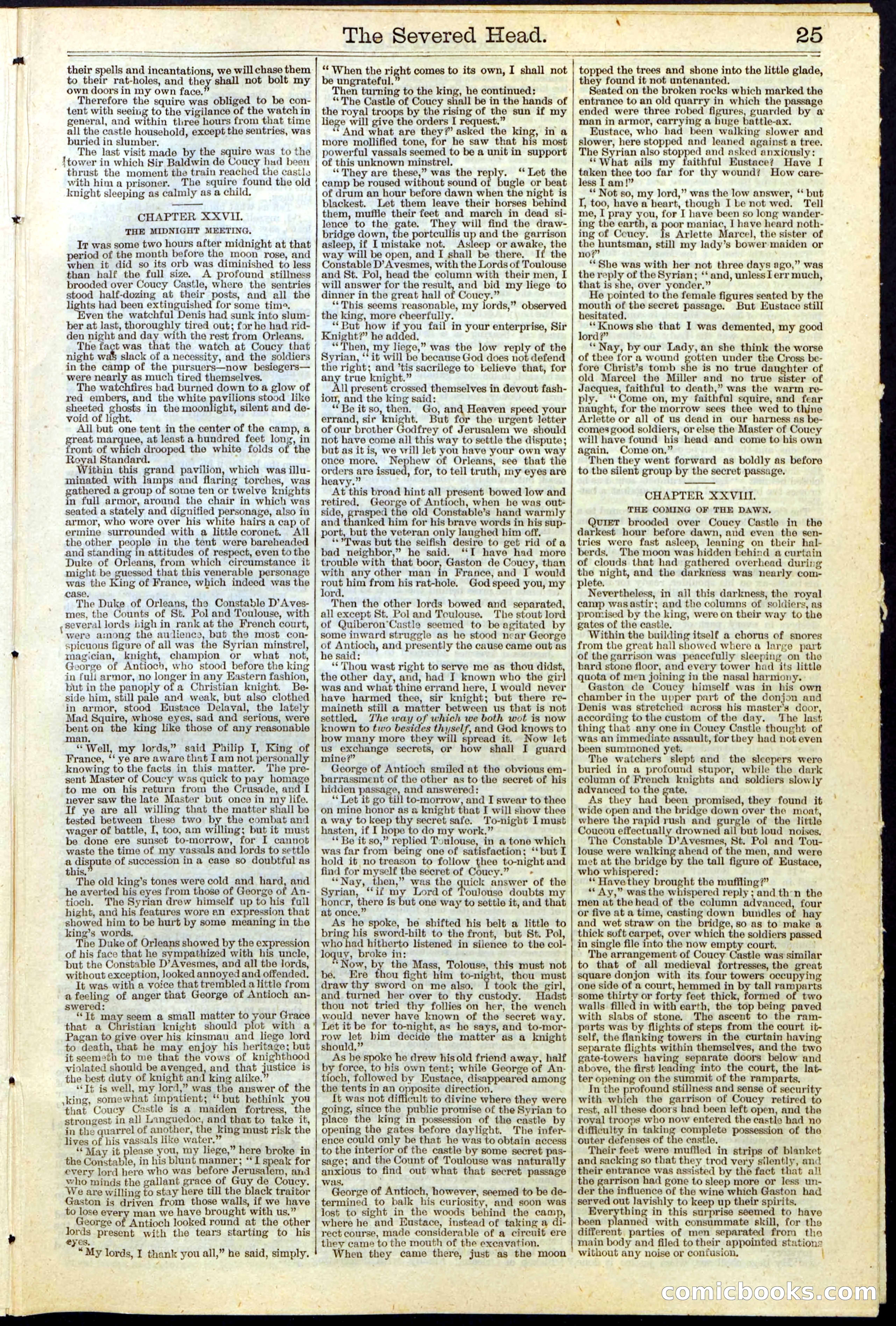 Beadle's New York Dime Library No. 115 — page 25 of 32