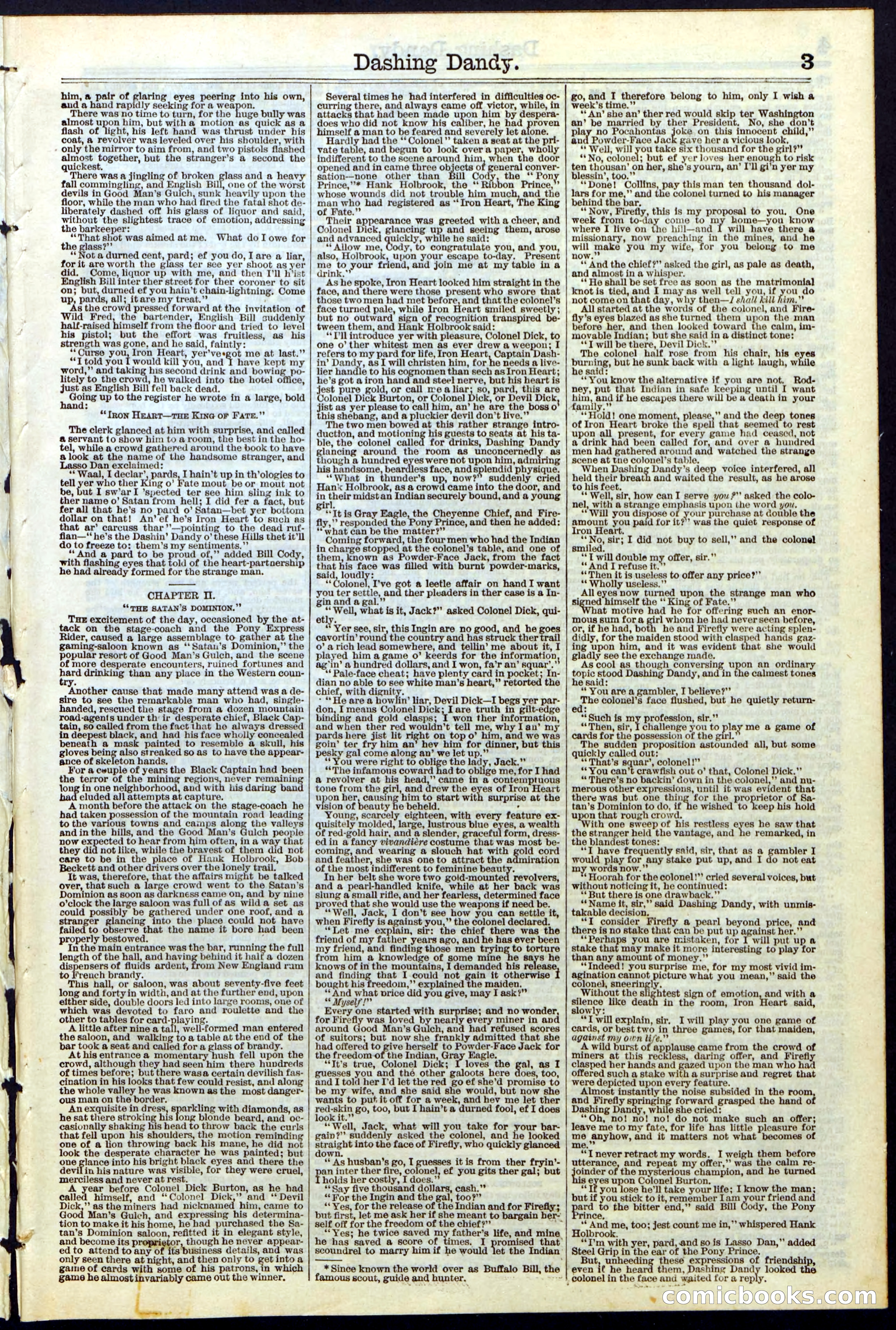 Beadle's New York Dime Library, No. 117 — page 3 of 24
