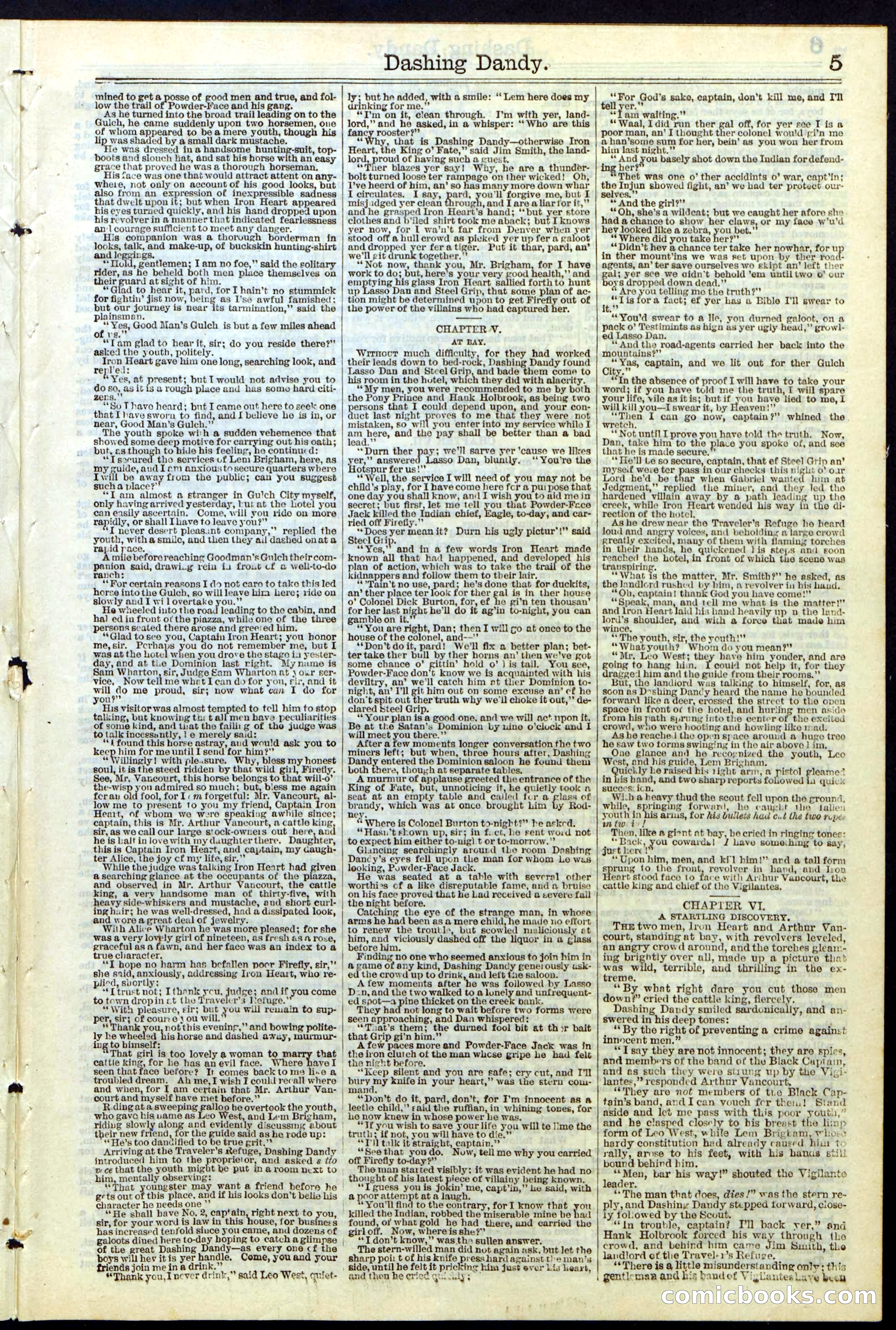 Beadle's New York Dime Library, No. 117 — page 5 of 24