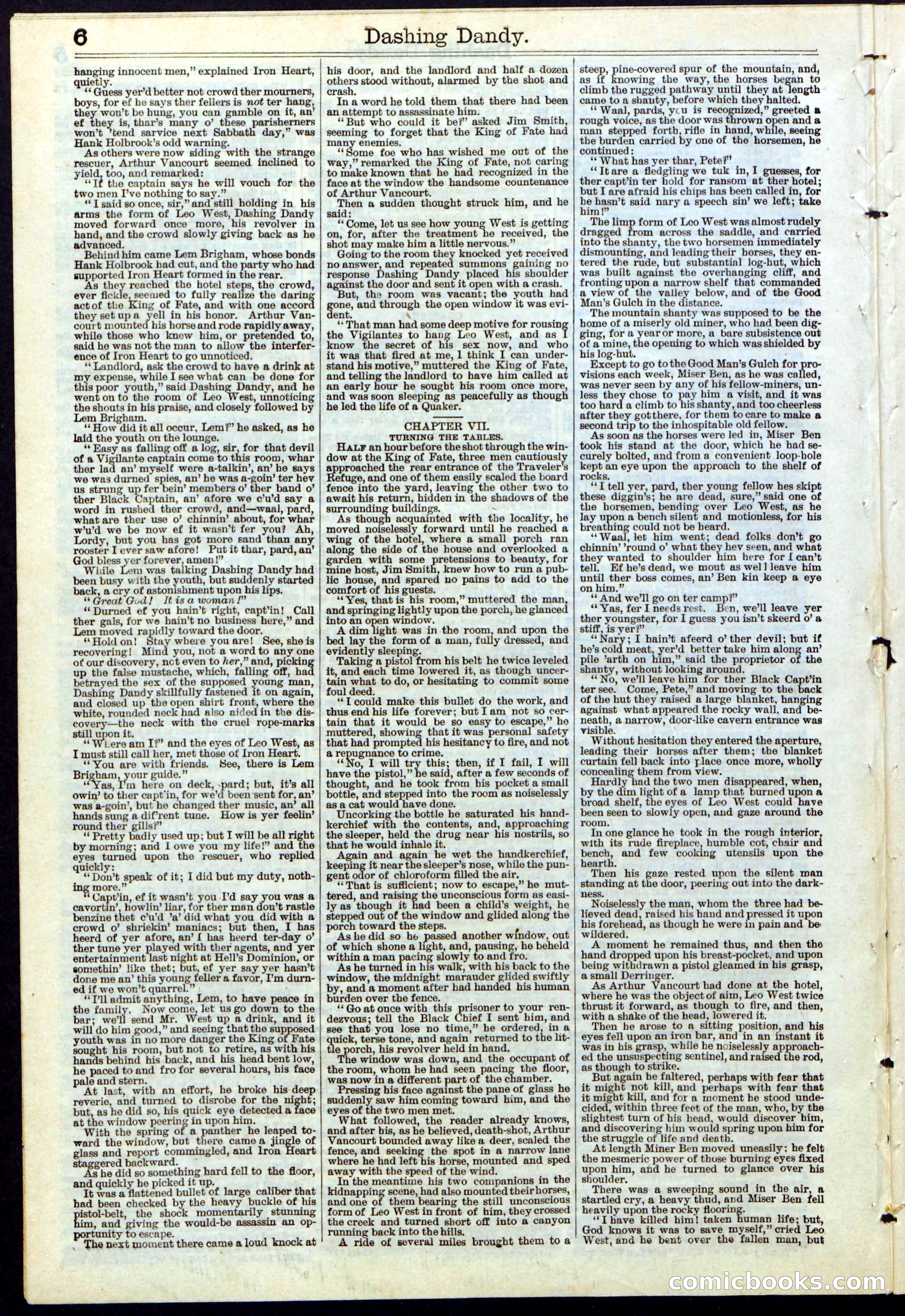 Beadle's New York Dime Library, No. 117 — page 6 of 24