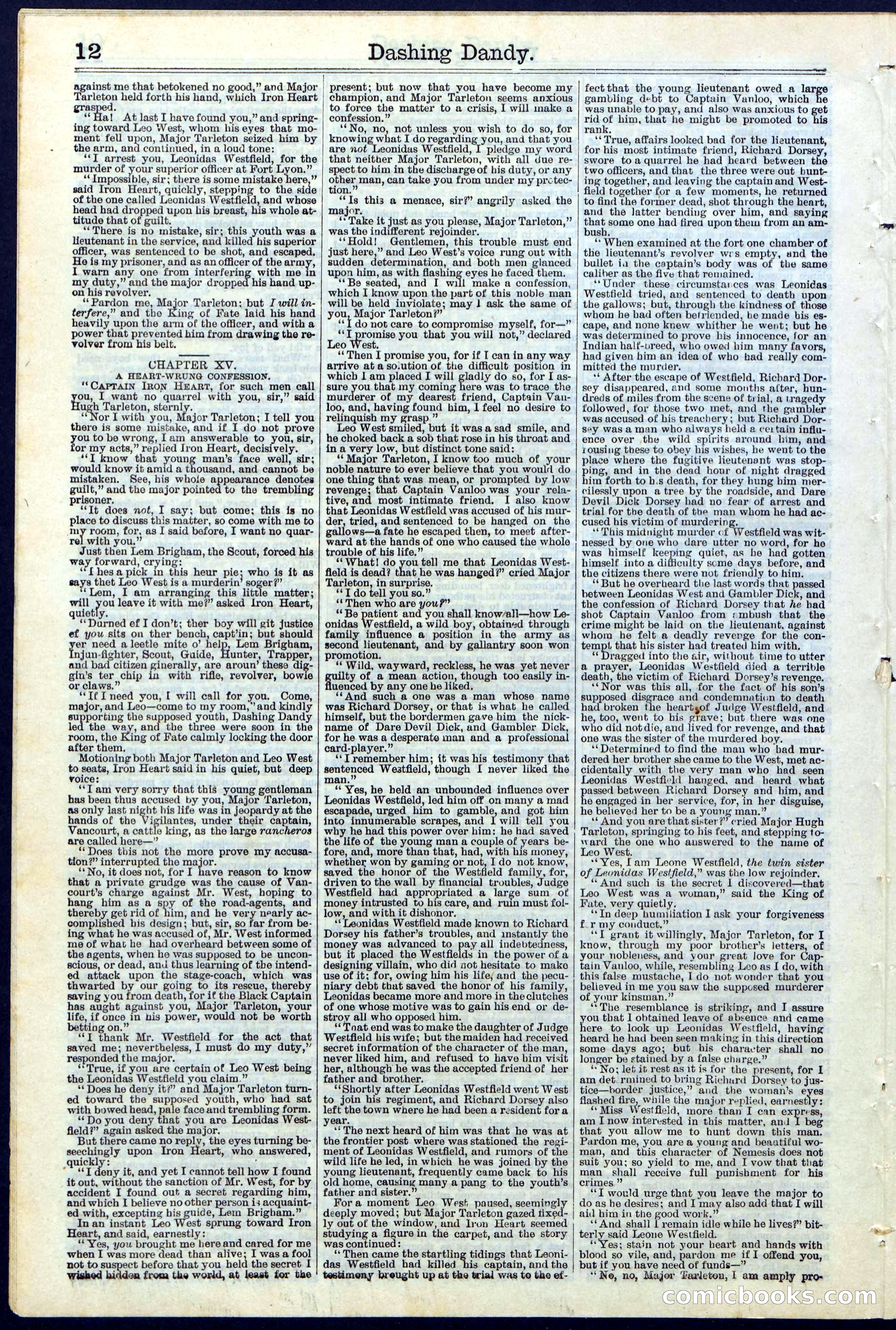 Beadle's New York Dime Library, No. 117 — page 12 of 24
