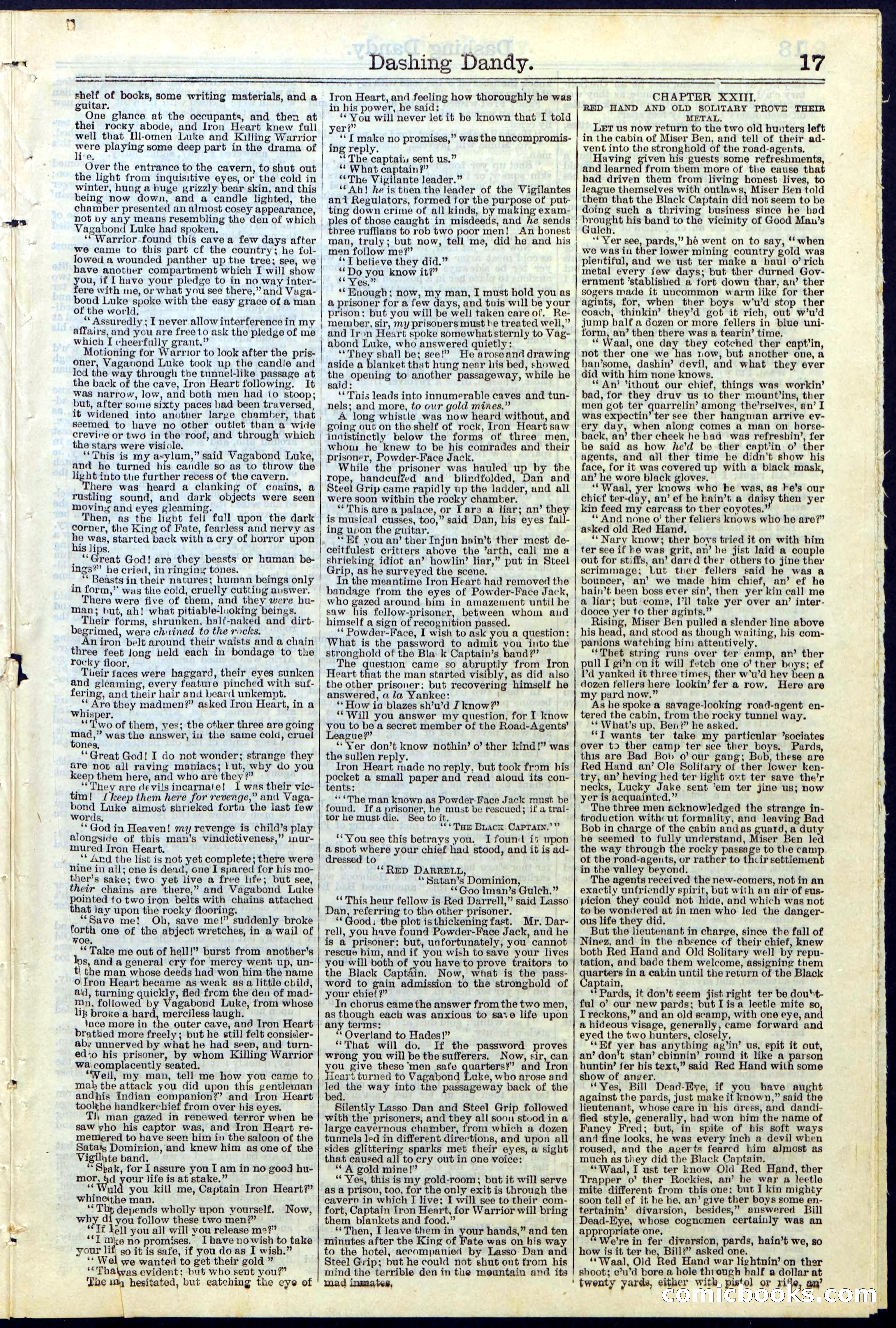 Beadle's New York Dime Library, No. 117 — page 17 of 24