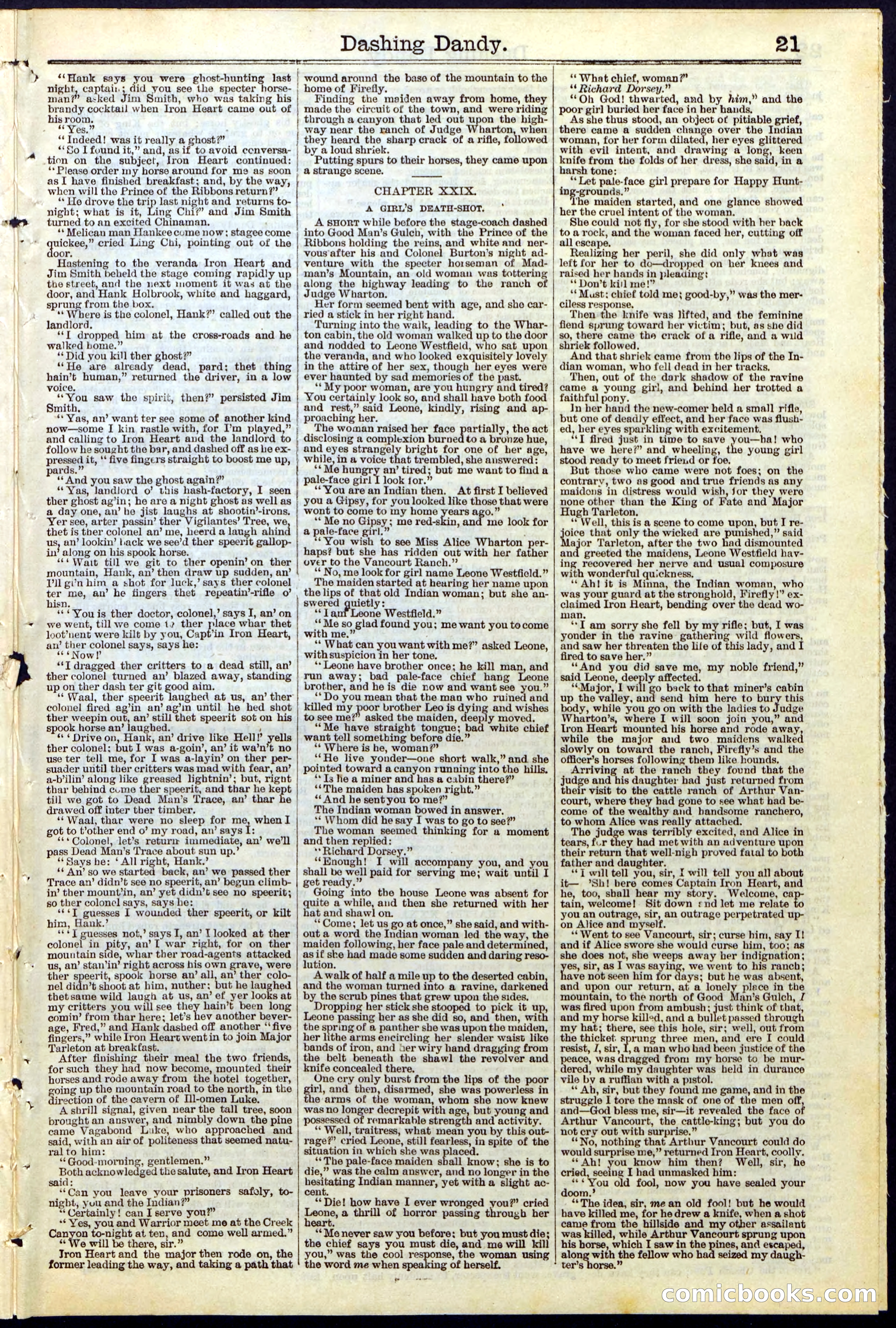 Beadle's New York Dime Library, No. 117 — page 21 of 24