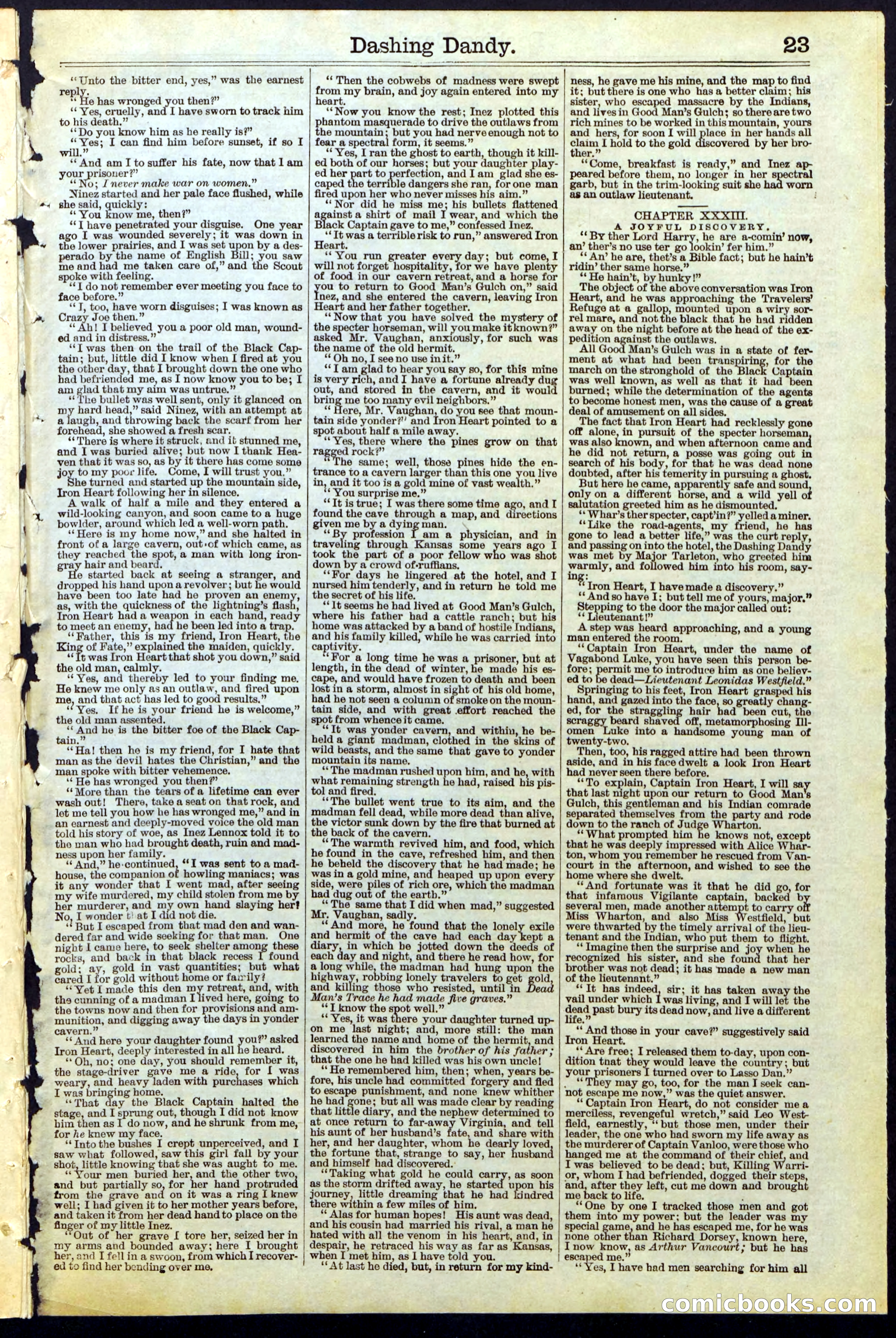 Beadle's New York Dime Library, No. 117 — page 23 of 24
