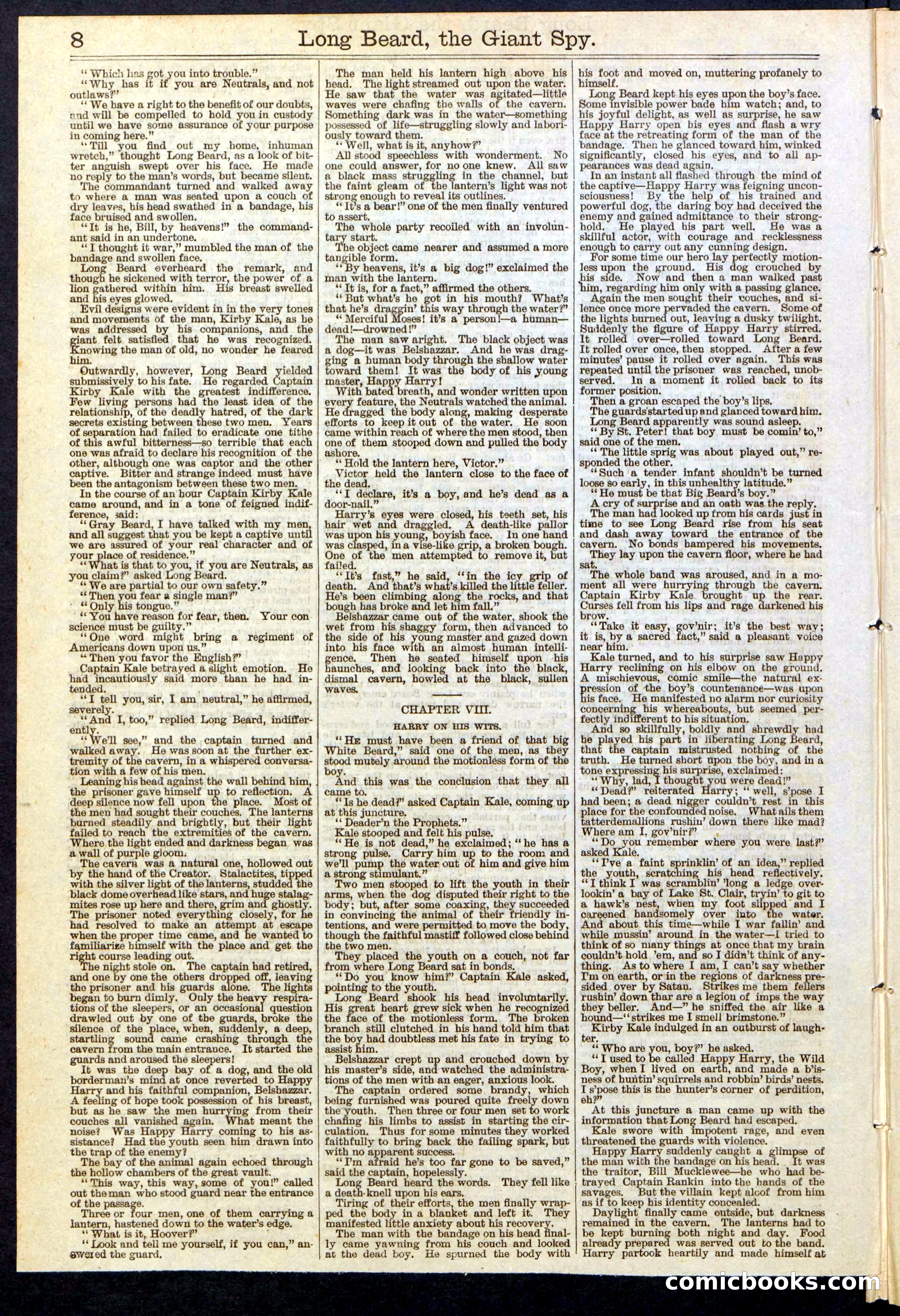 Beadle's New York Dime Library, No. 137 — page 8 of 32