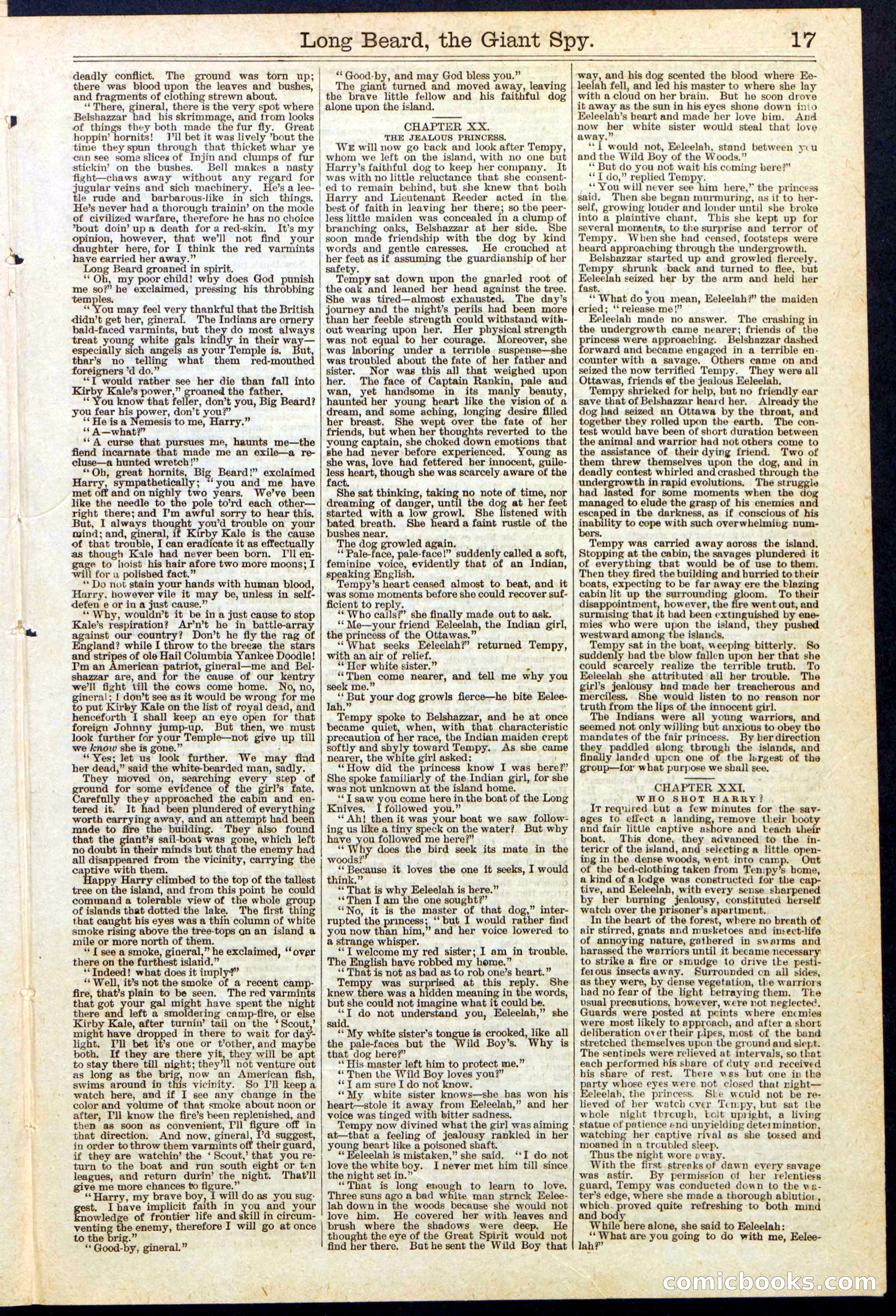 Beadle's New York Dime Library, No. 137 — page 17 of 32