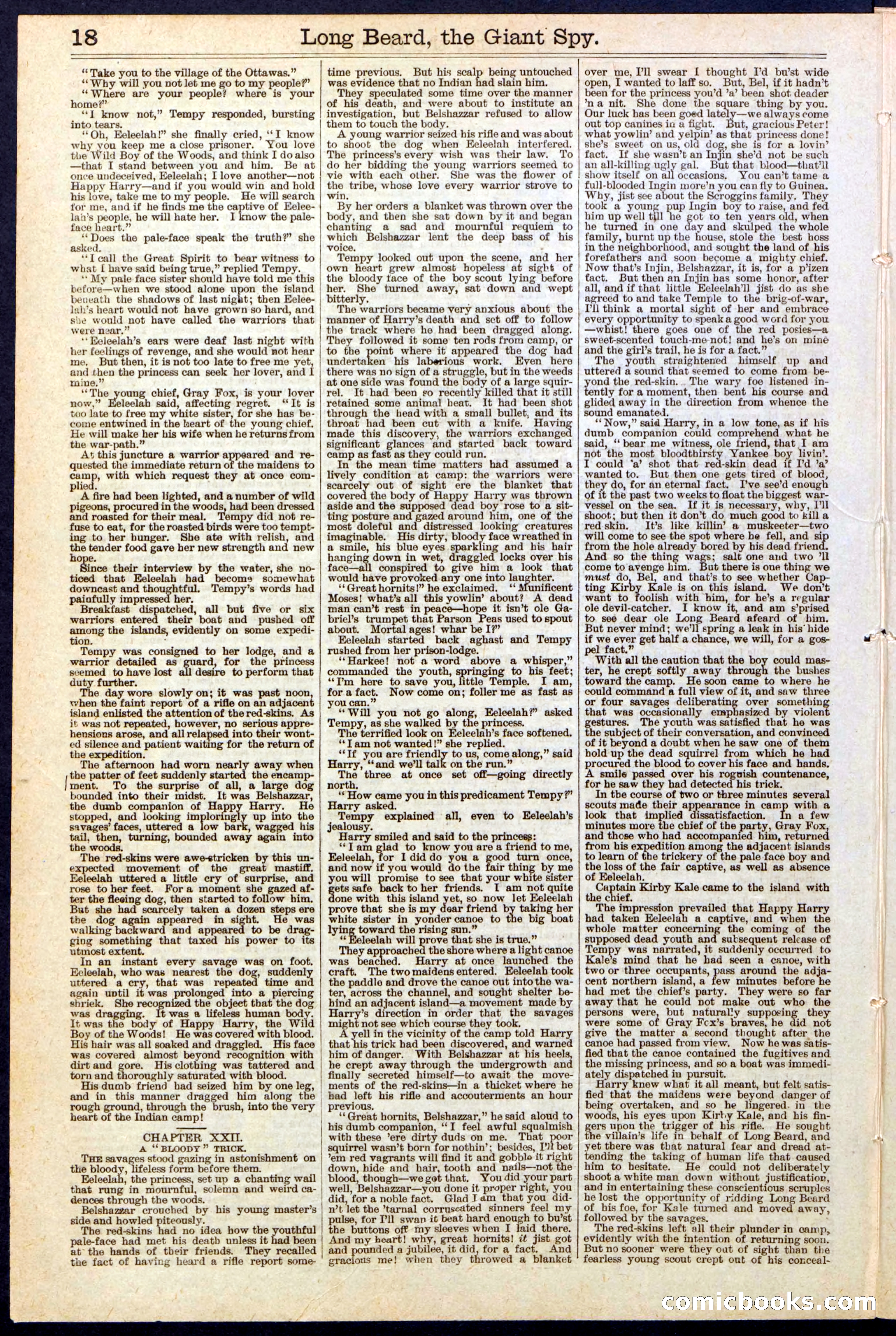 Beadle's New York Dime Library, No. 137 — page 18 of 32