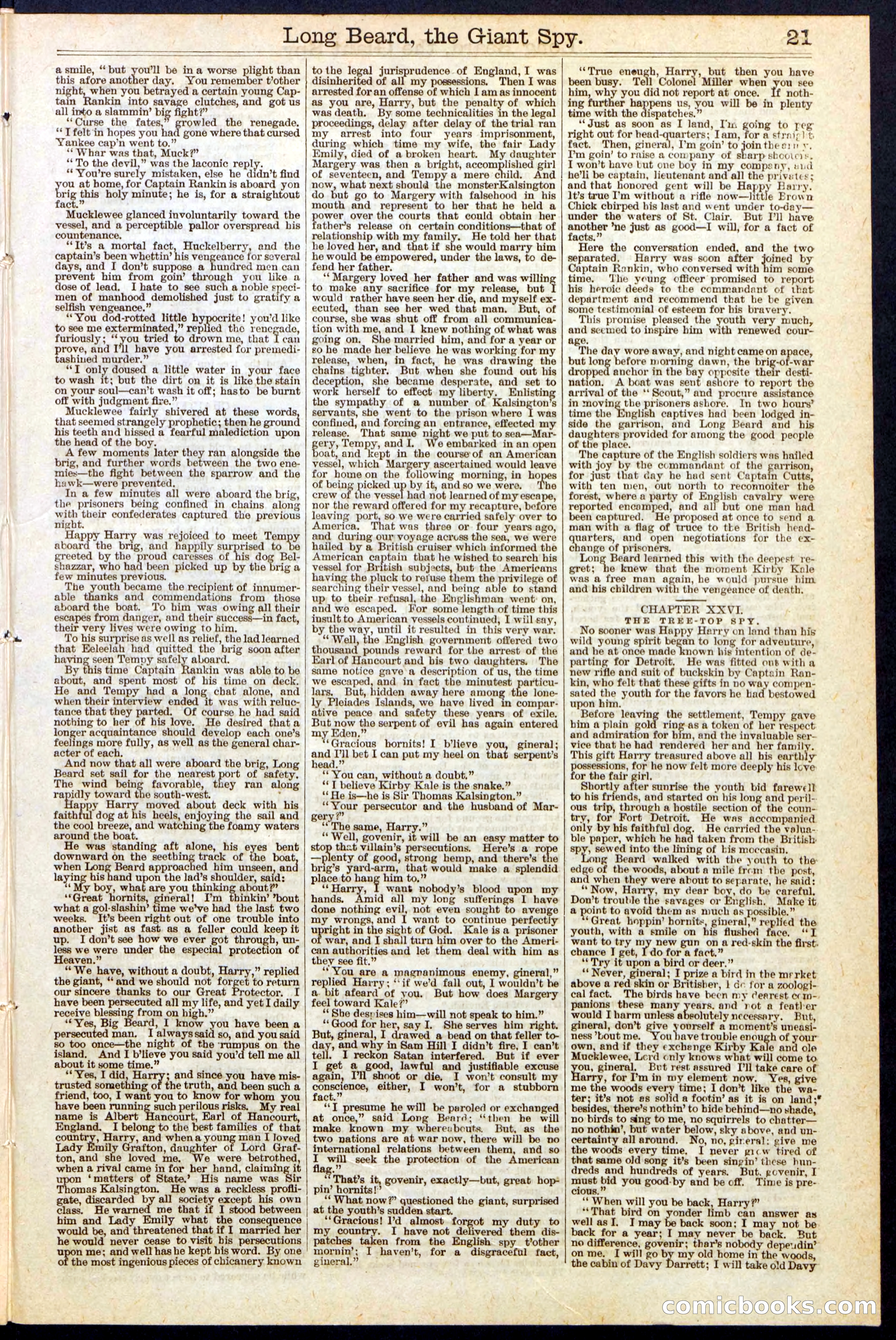 Beadle's New York Dime Library, No. 137 — page 21 of 32