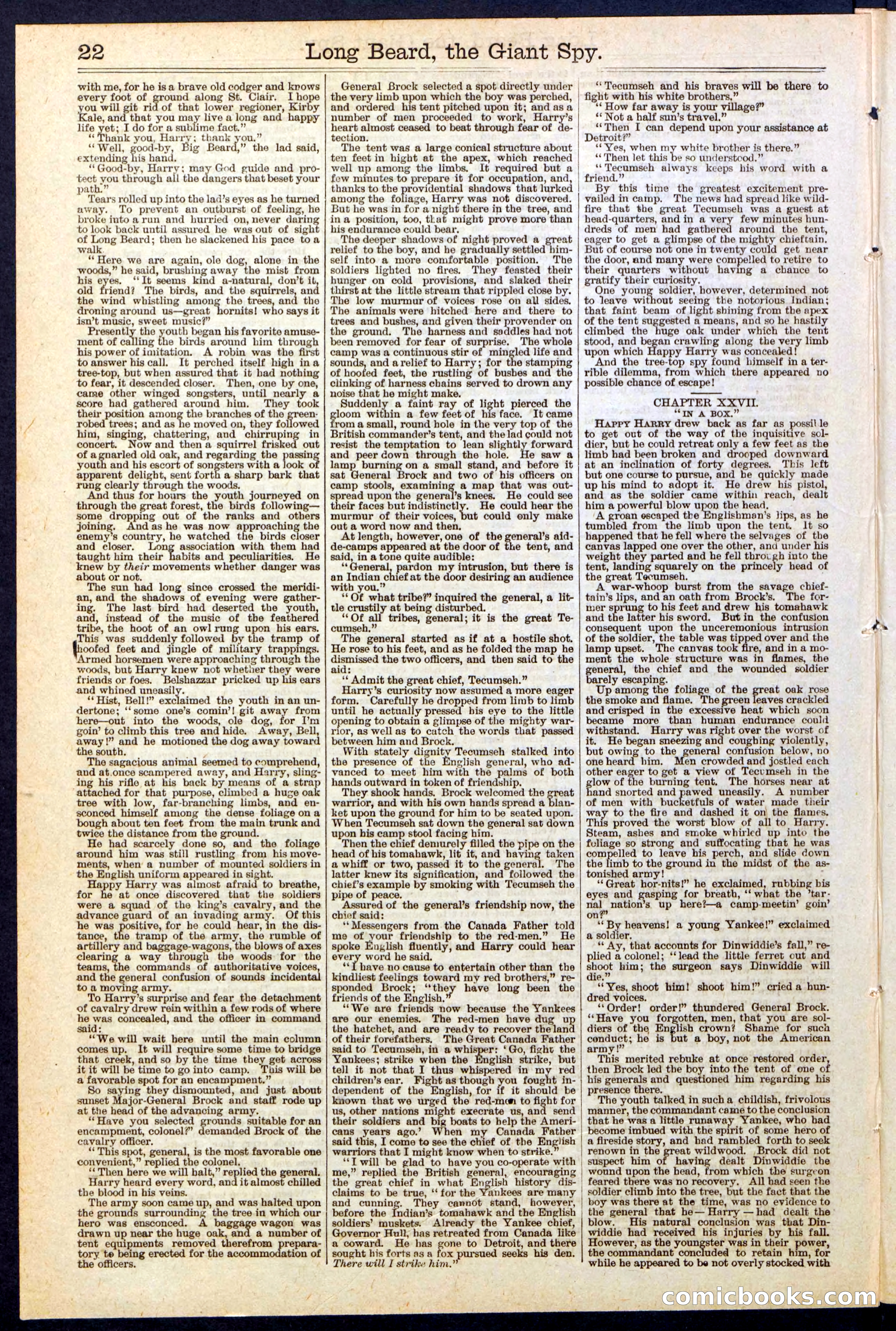 Beadle's New York Dime Library, No. 137 — page 22 of 32