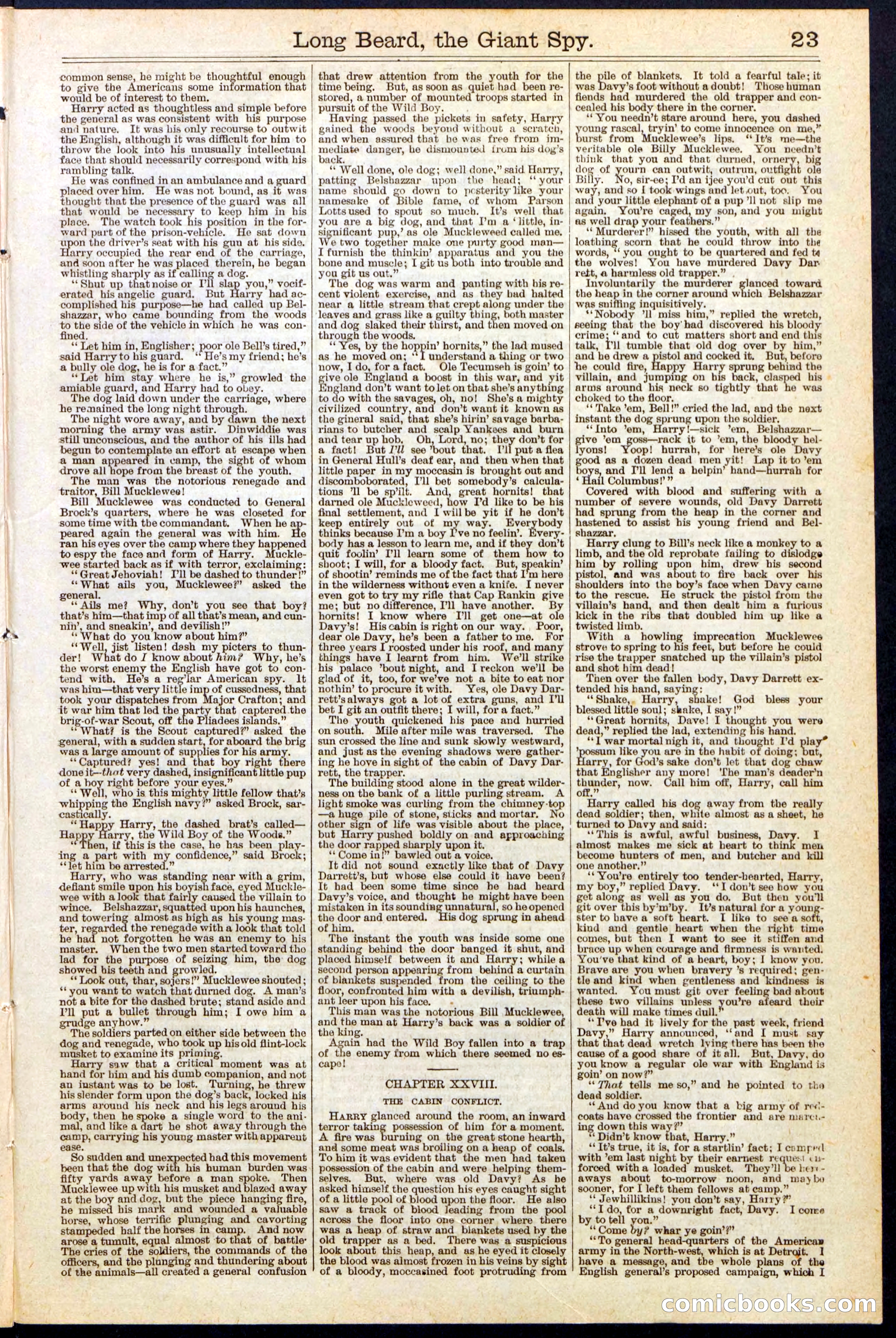 Beadle's New York Dime Library, No. 137 — page 23 of 32