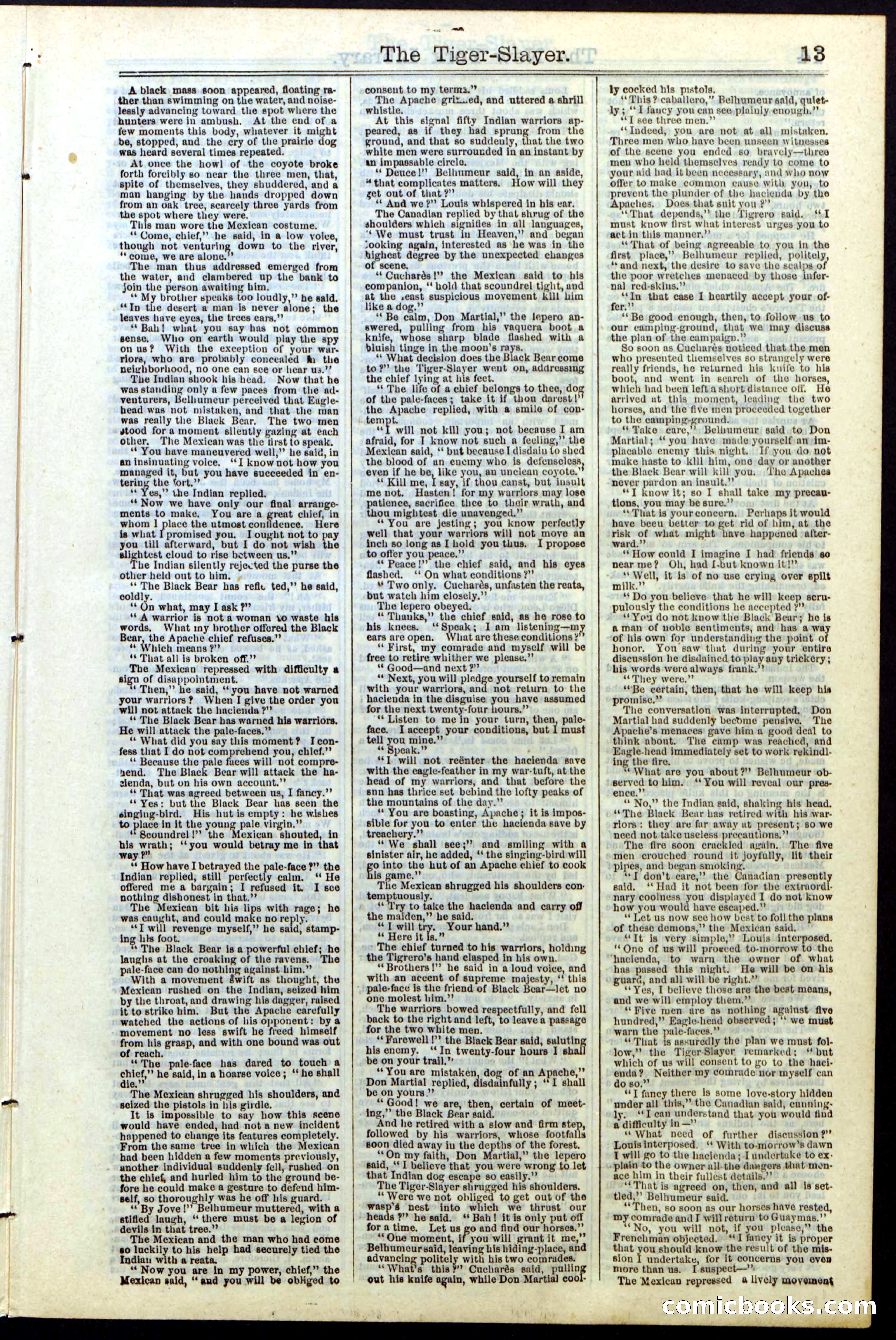Beadle's New York Dime Library, Vol. II, No. 15 — page 13 of 40