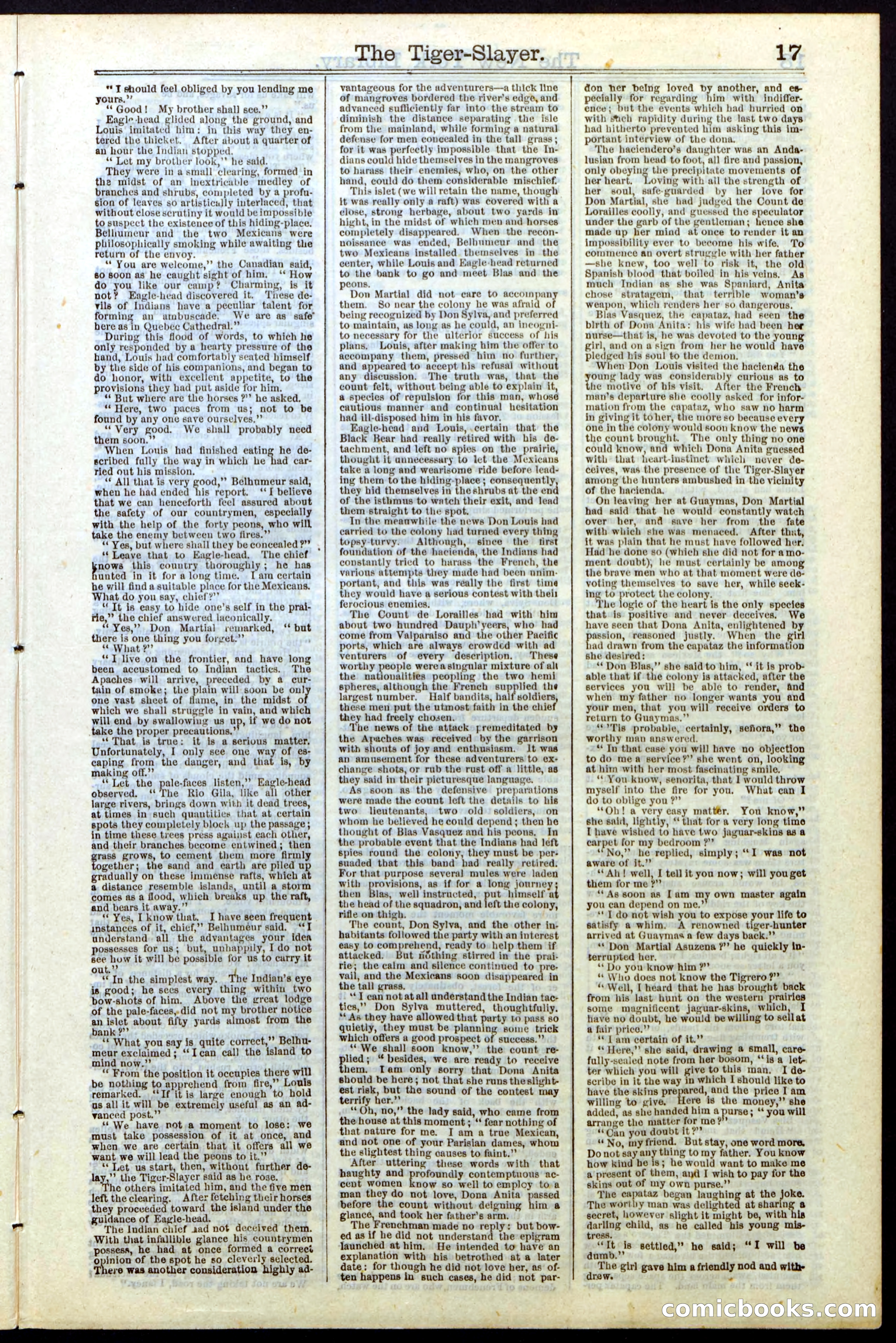Beadle's New York Dime Library, Vol. II, No. 15 — page 17 of 40