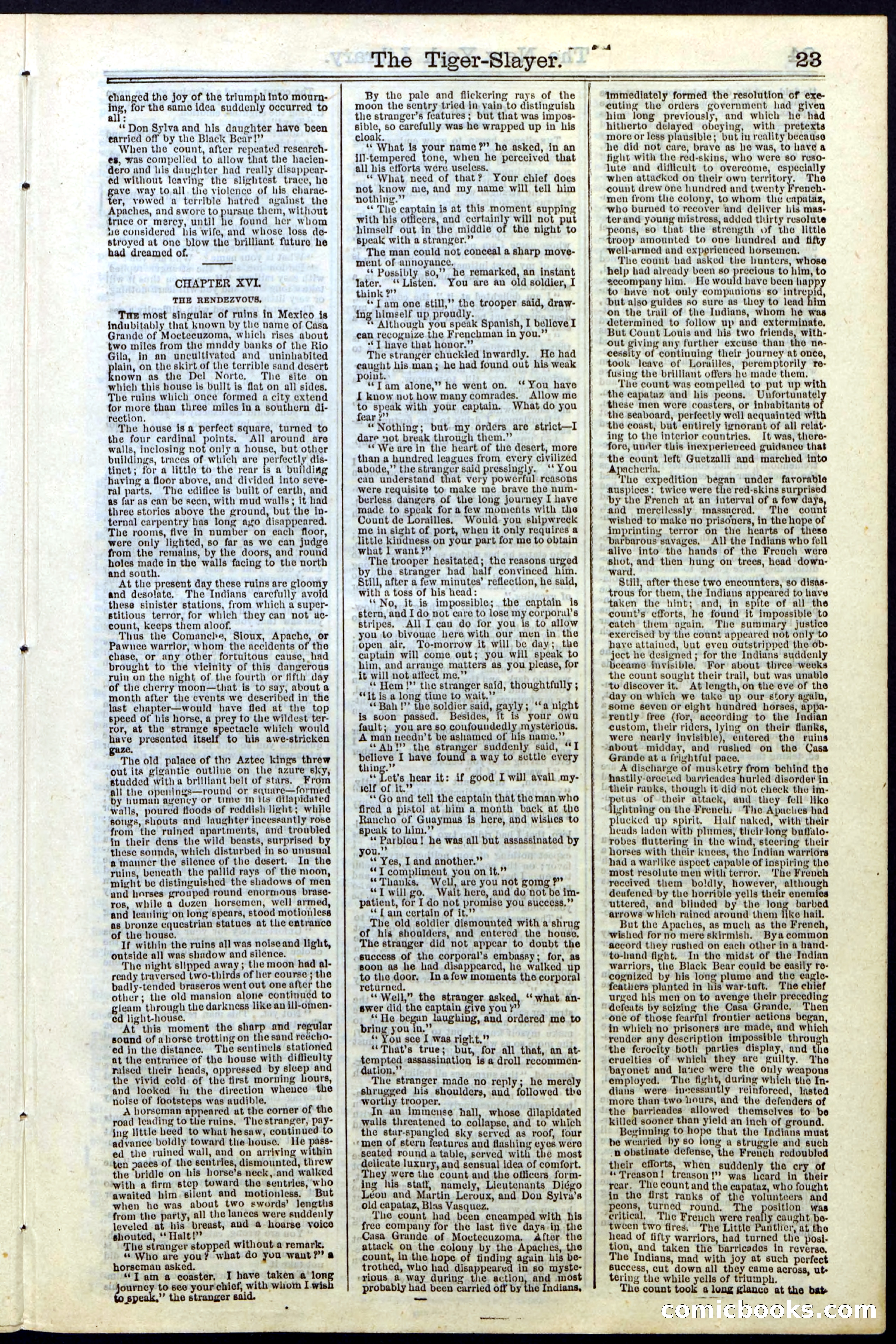 Beadle's New York Dime Library, Vol. II, No. 15 — page 23 of 40