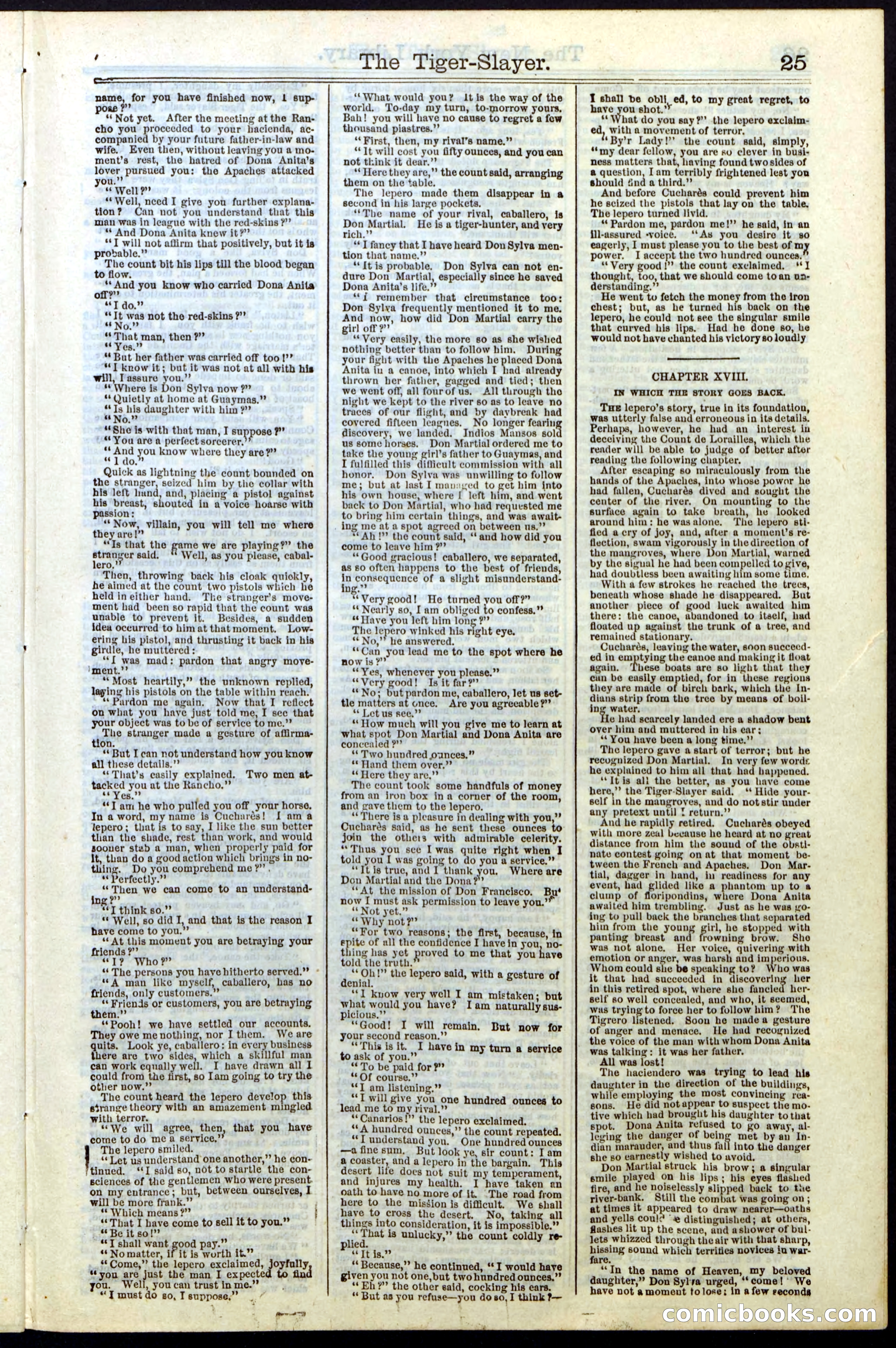 Beadle's New York Dime Library, Vol. II, No. 15 — page 25 of 40