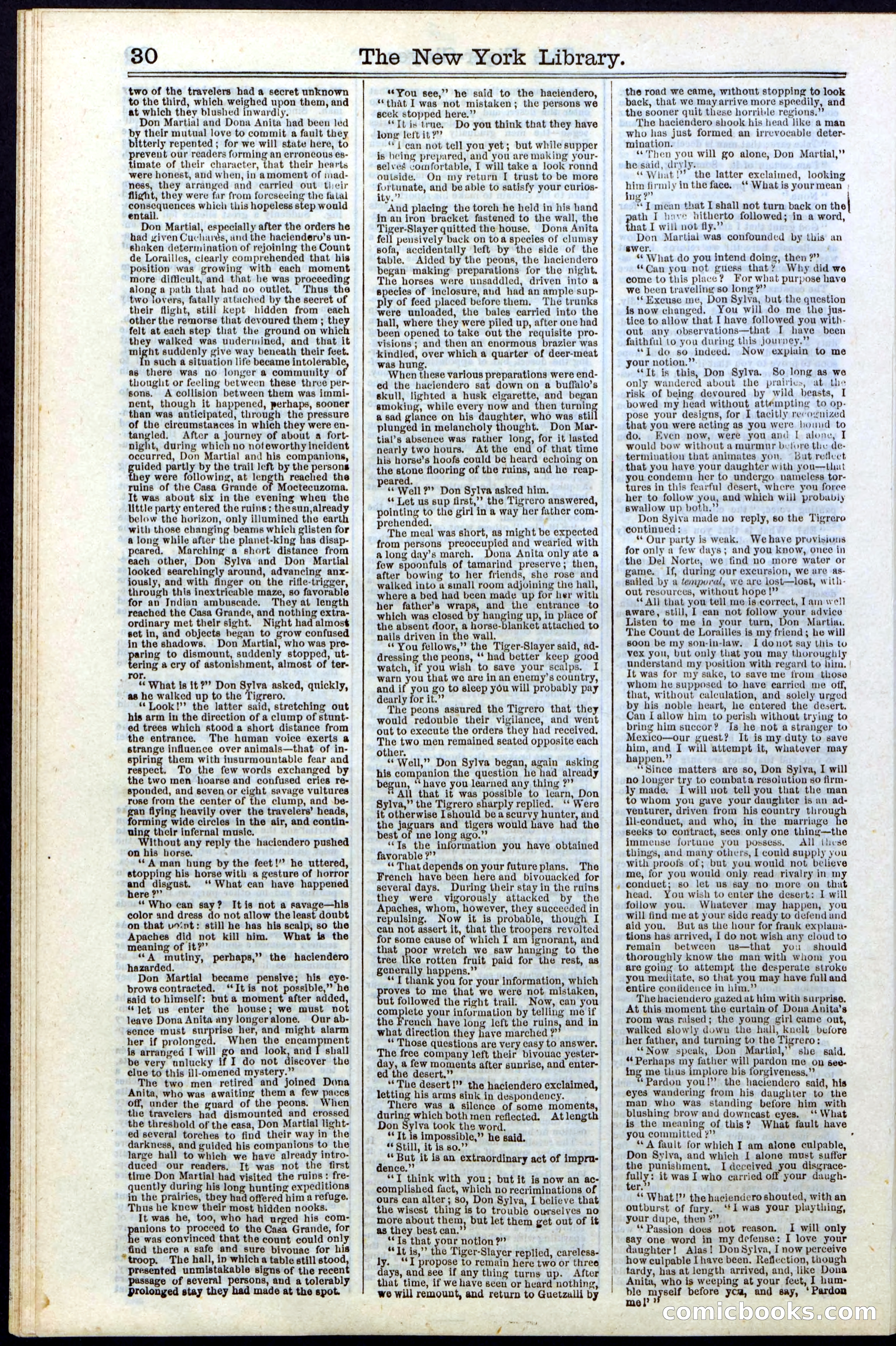 Beadle's New York Dime Library, Vol. II, No. 15 — page 30 of 40