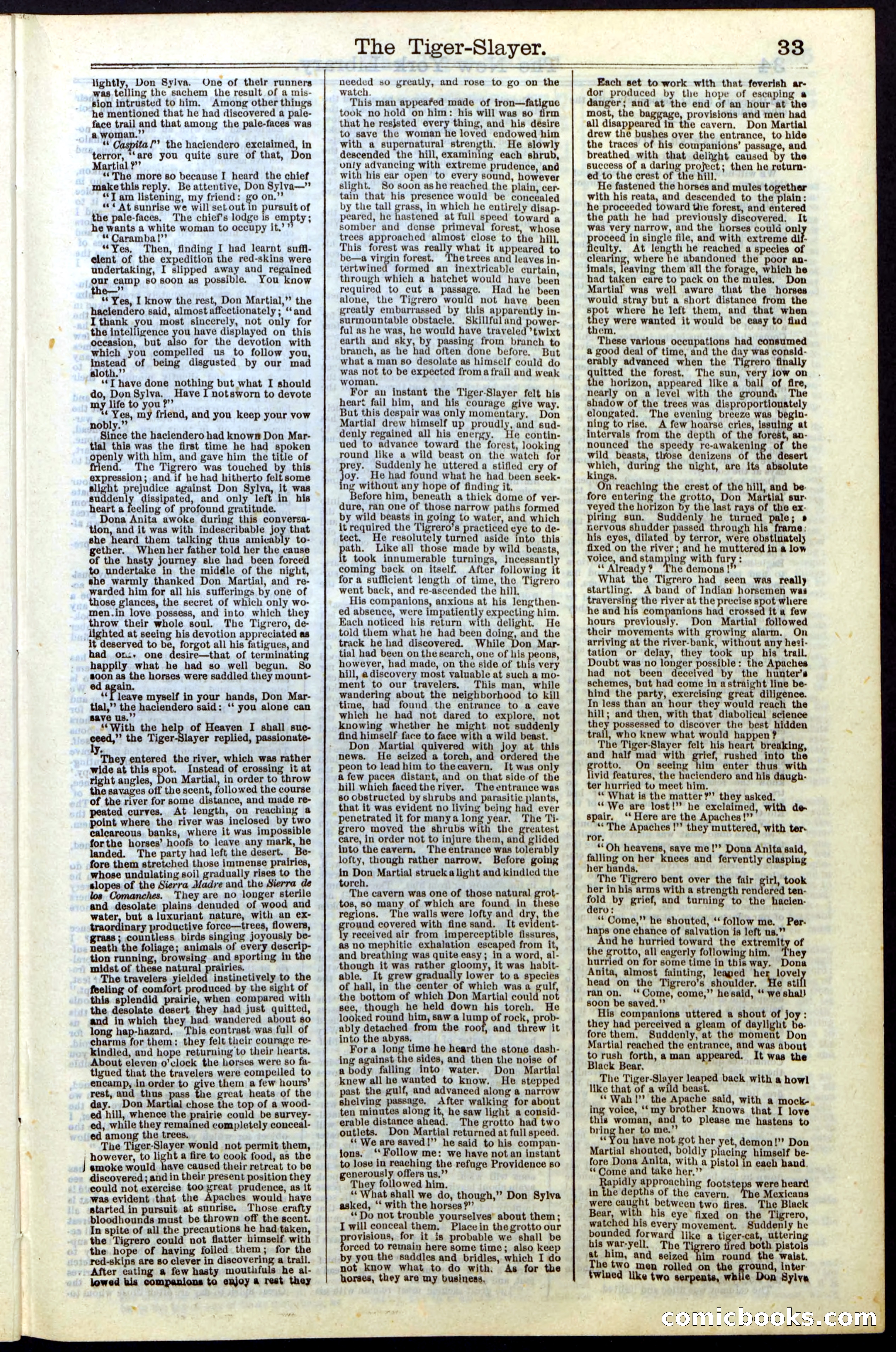 Beadle's New York Dime Library, Vol. II, No. 15 — page 33 of 40