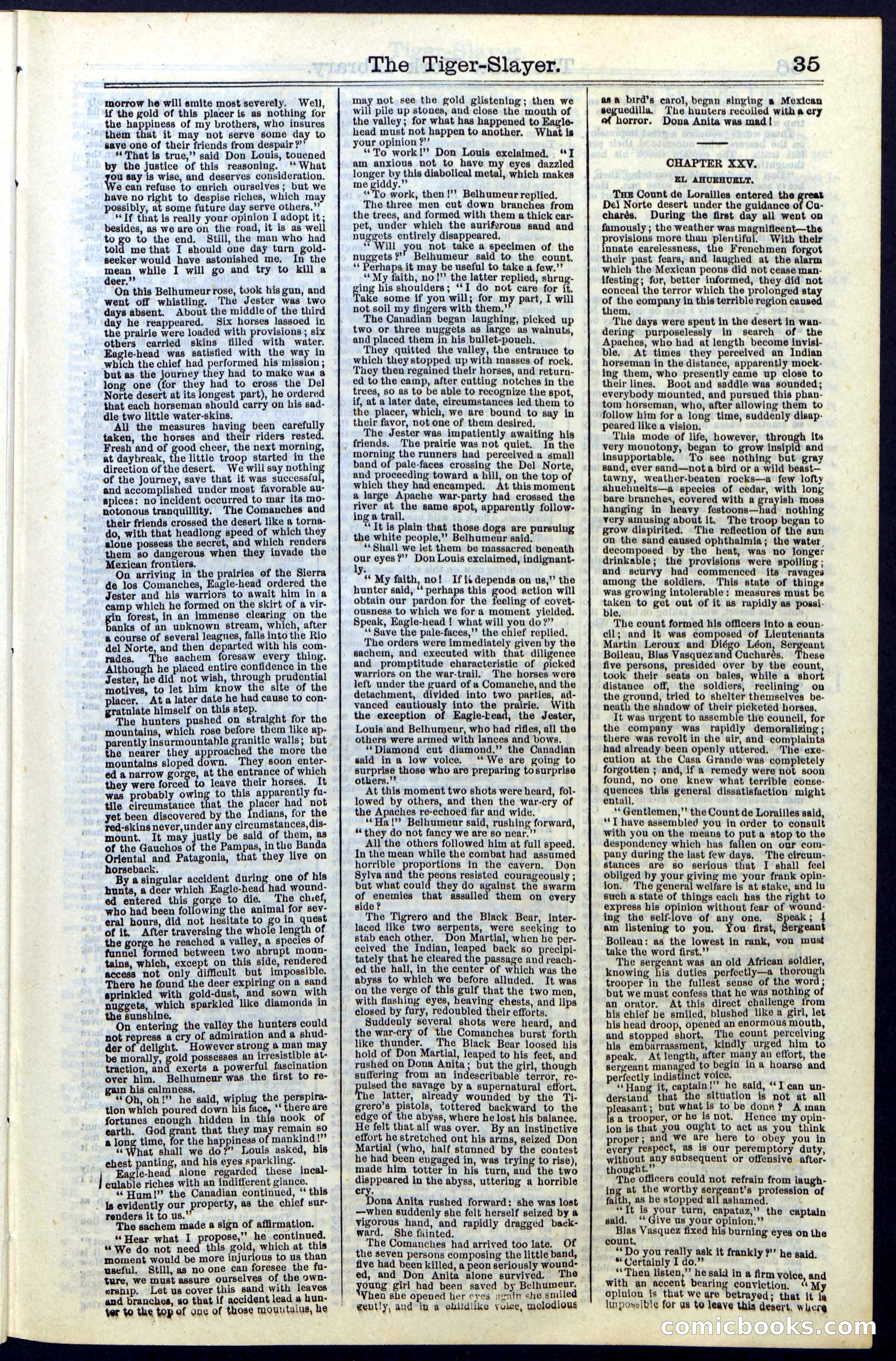 Beadle's New York Dime Library, Vol. II, No. 15 — page 35 of 40