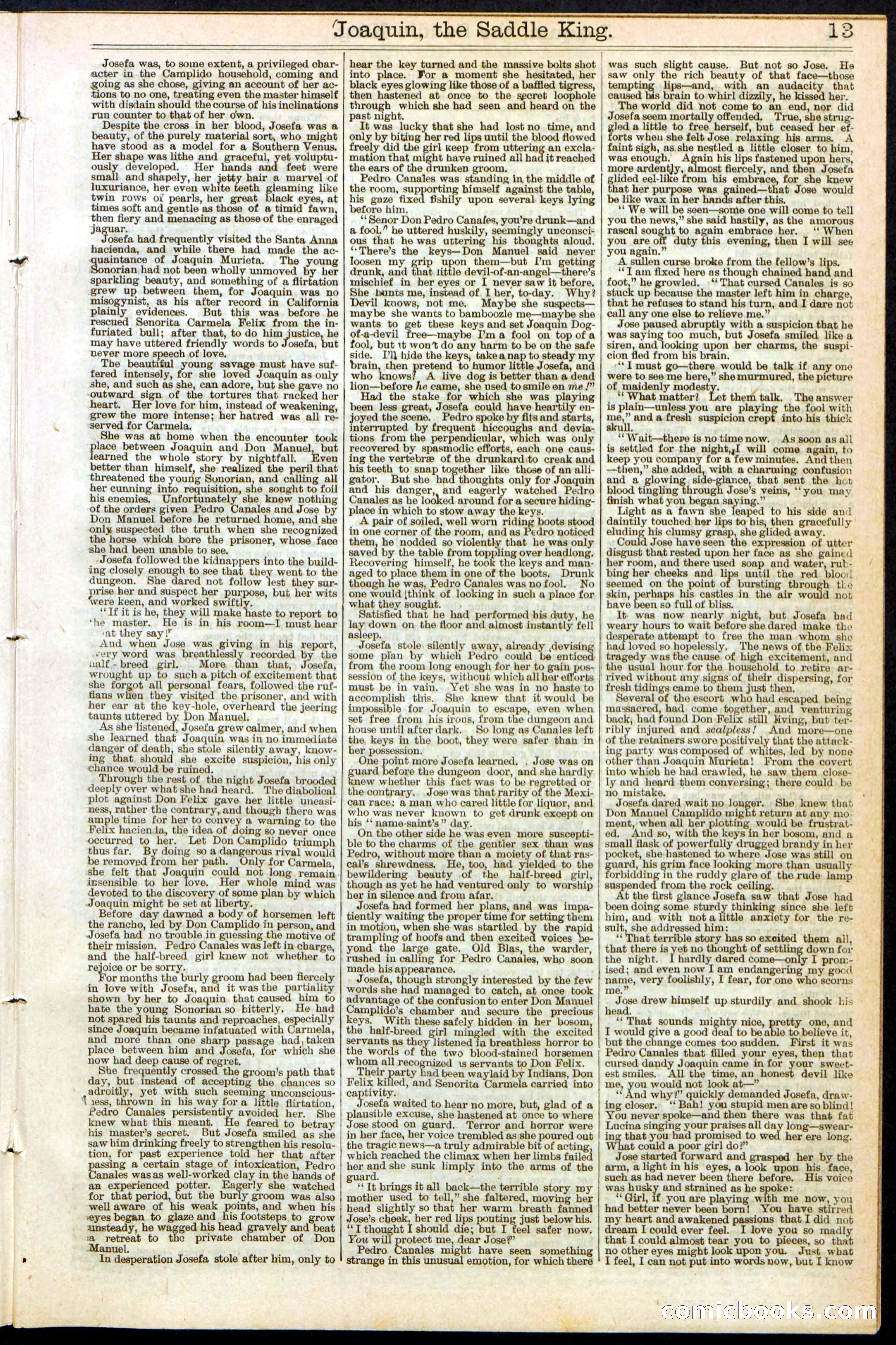Beadle's New York Dime Library No. 154 — page 13 of 32
