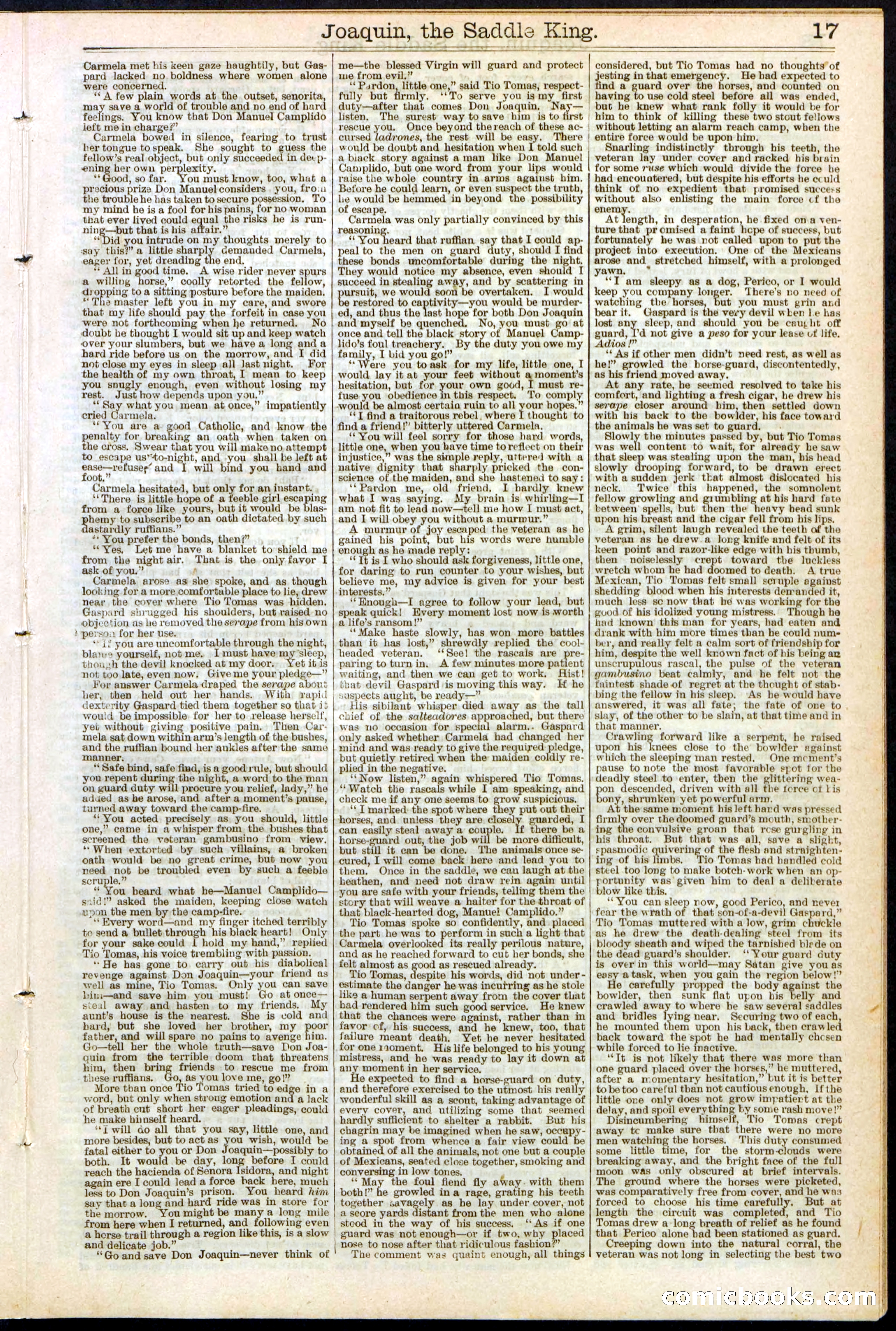 Beadle's New York Dime Library No. 154 — page 17 of 32