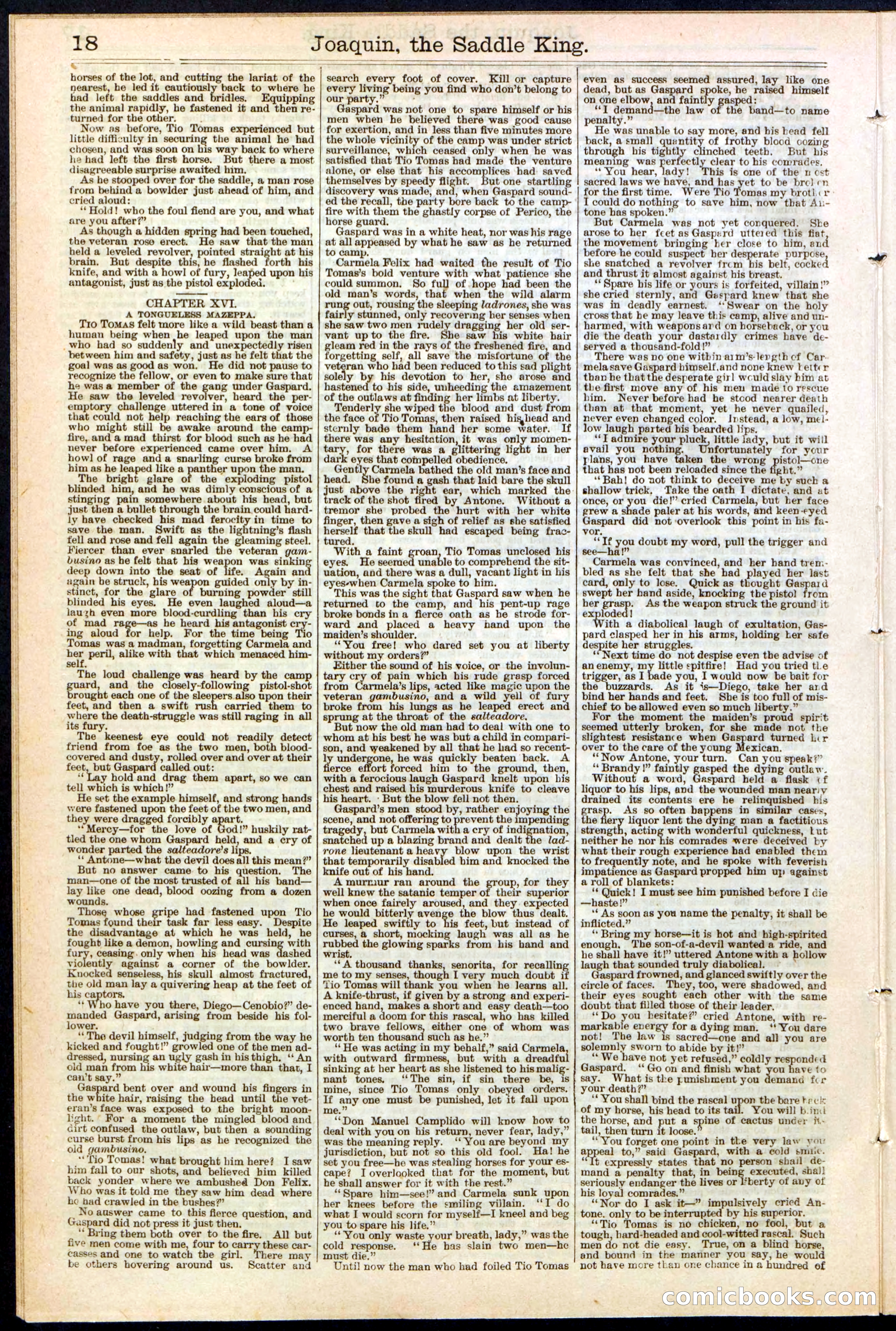 Beadle's New York Dime Library No. 154 — page 18 of 32